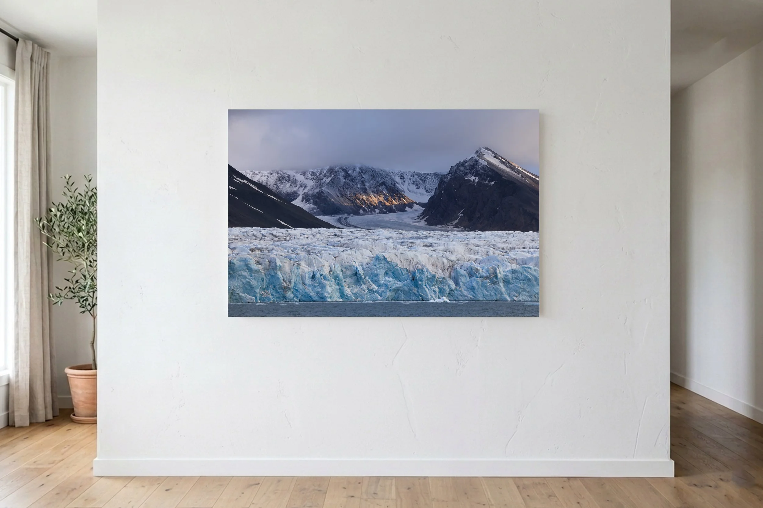 Arctic Light
