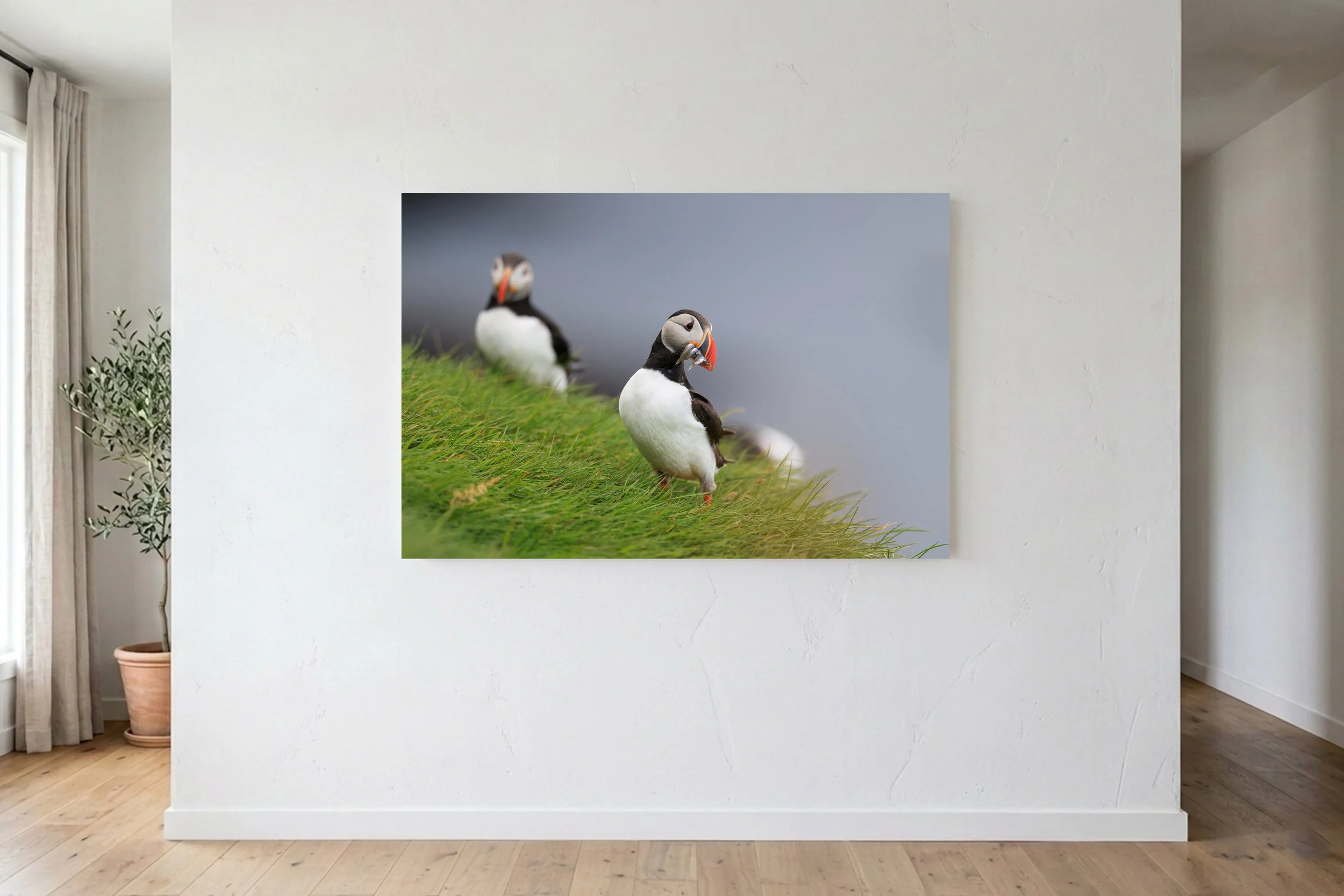 Puffin With Fish On Wall.jpg
