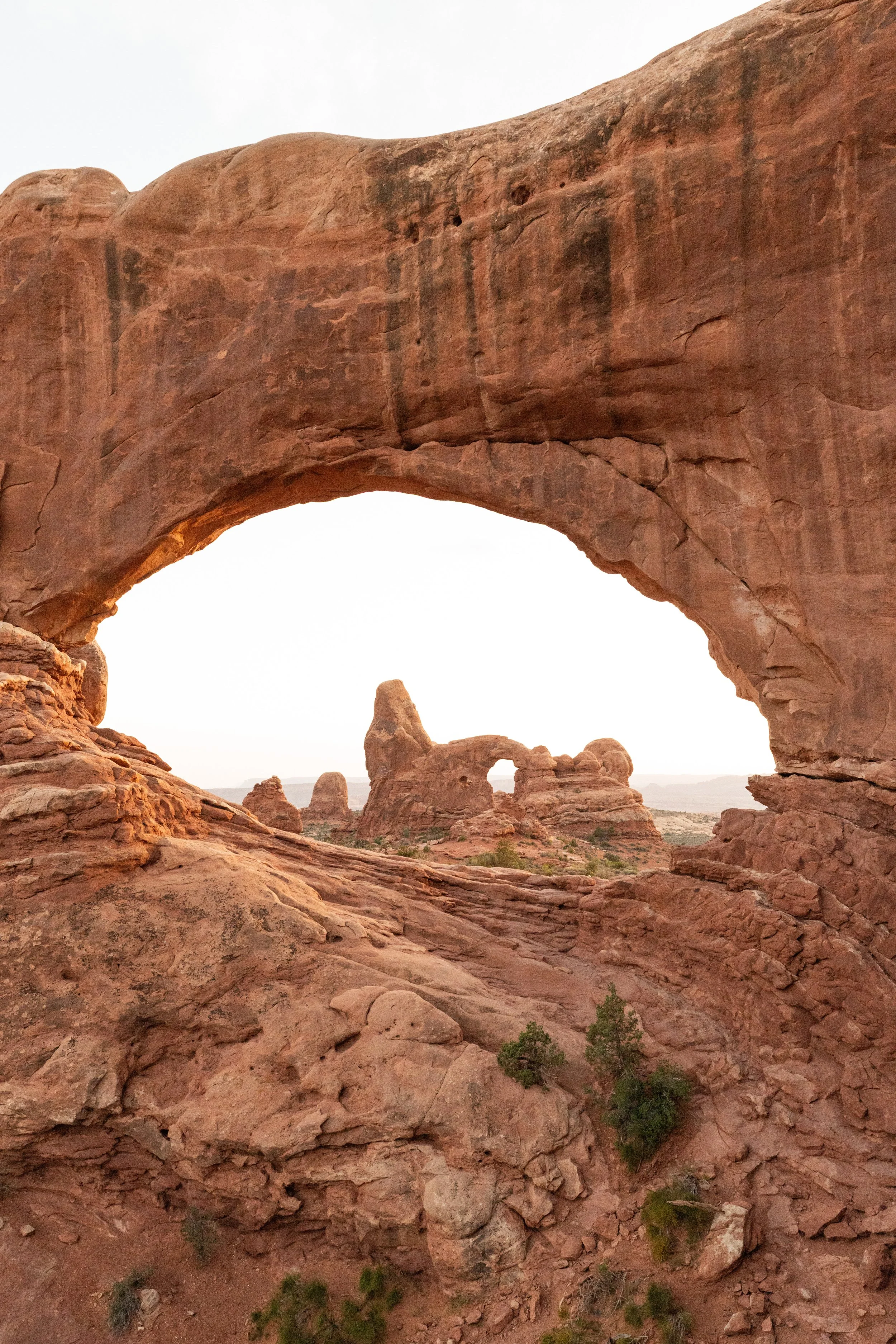 North Window Portrait.jpg
