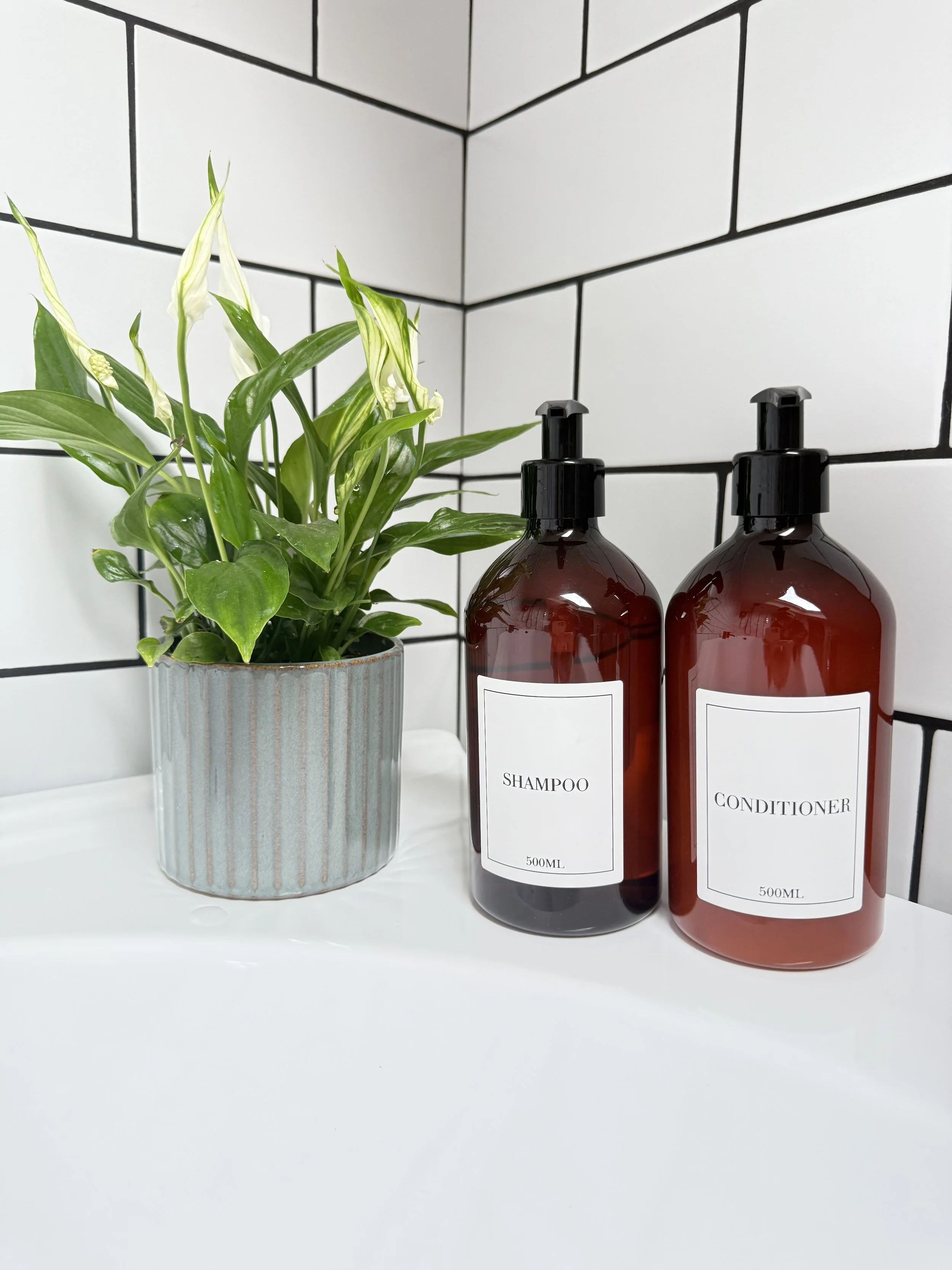 A potted green plant with white flowers next to two amber bottles labeled 'shampoo' and 'conditioner' on a white surface against a white tiled wall