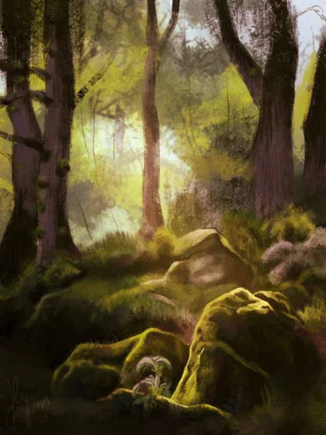 forest landscape.jpg