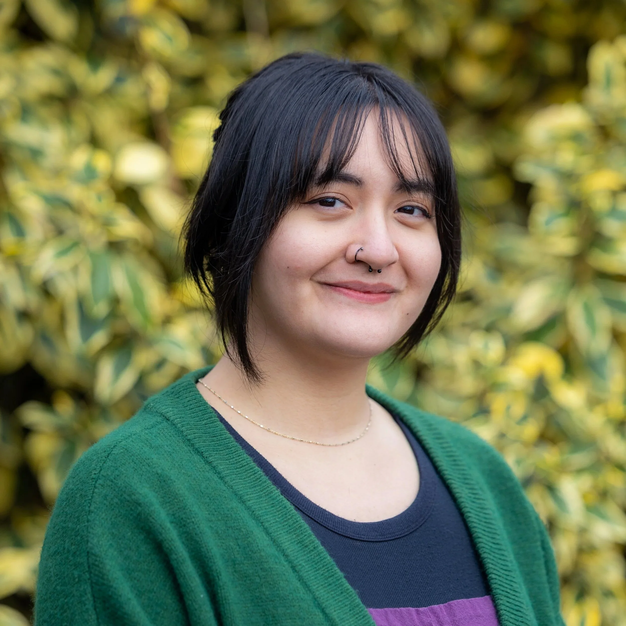 Watercolor illustration of purple and blue flowers with green and brown leaves against a black background with white spots.
