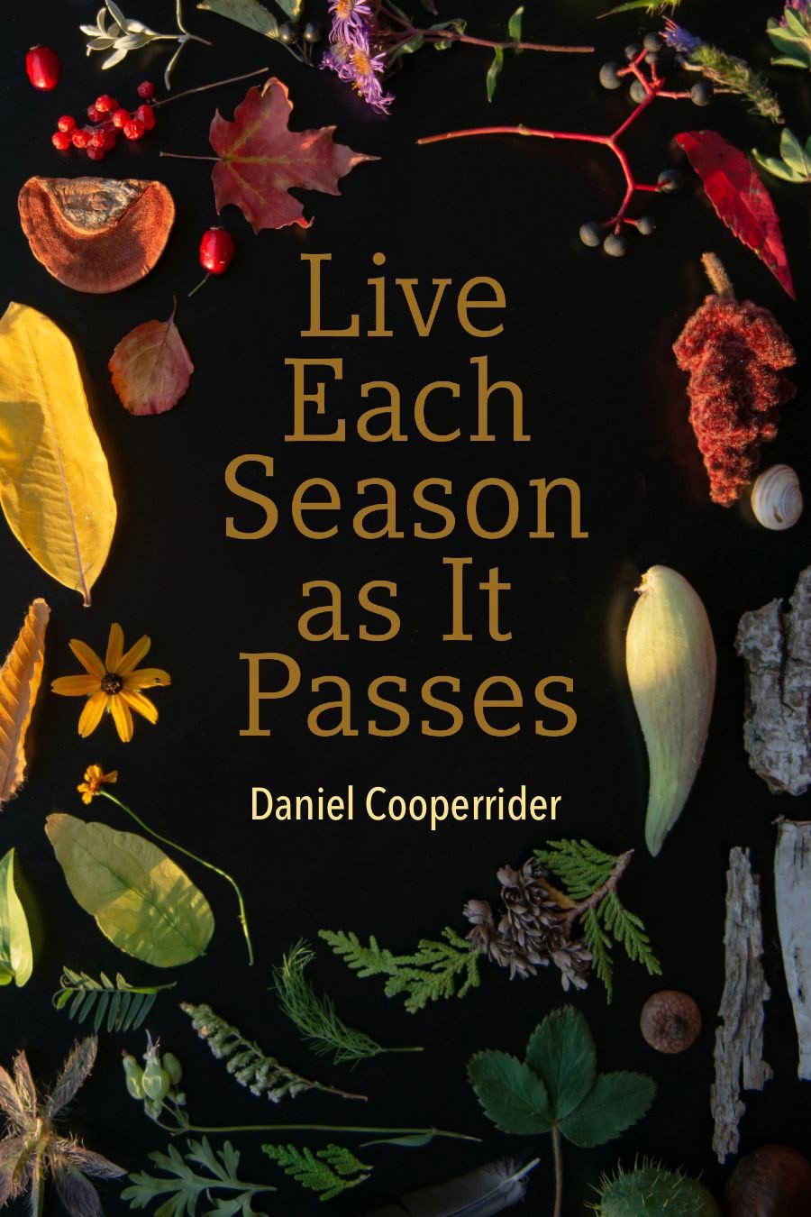 Live Each Season as It Passes