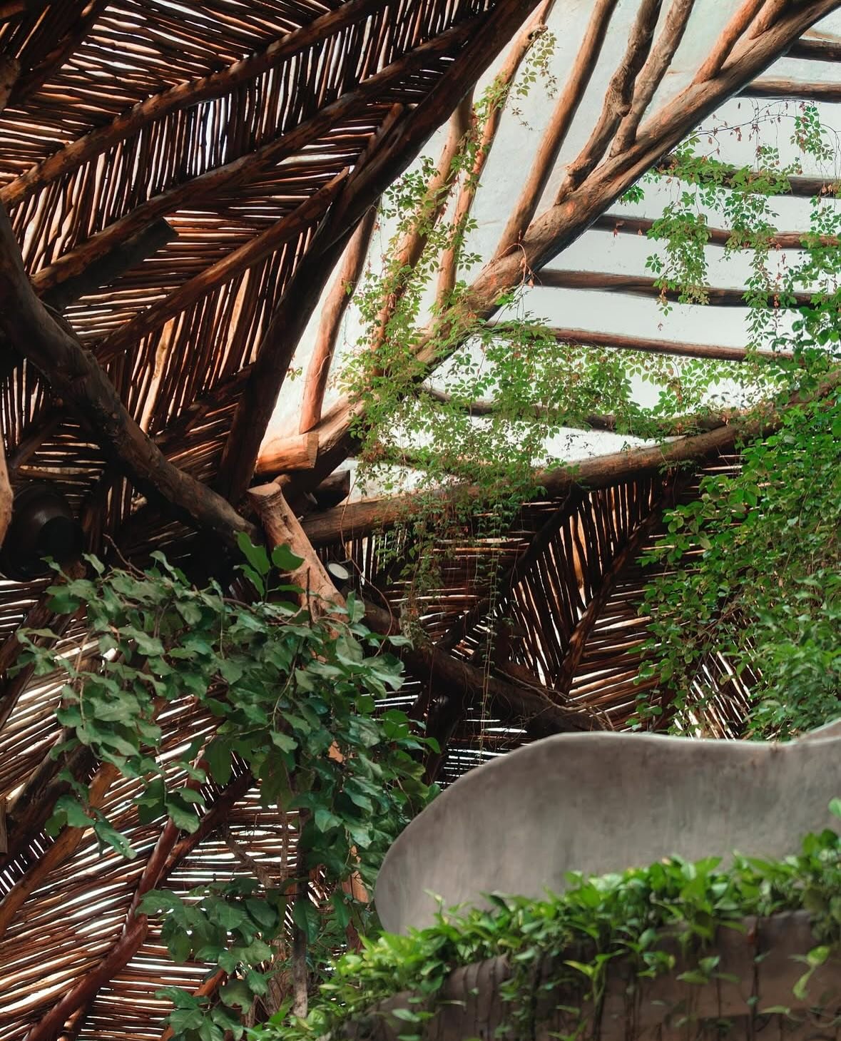 🌿Azulik takes an innovative approach to architecture, emphasizing sustainability and the use of natural elements. The design philosophy focuses on creating a space where human beings can reconnect with nature, encouraging mindfulness and a deeper ap