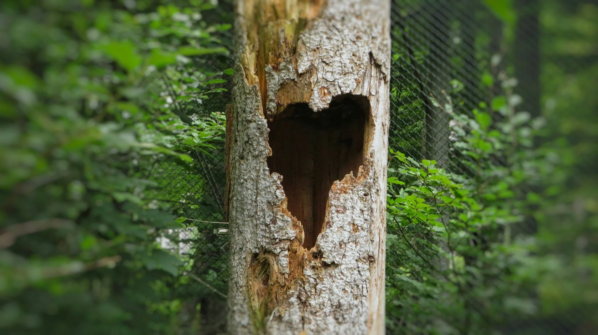 Who’s Destroying Whom In The First Place?