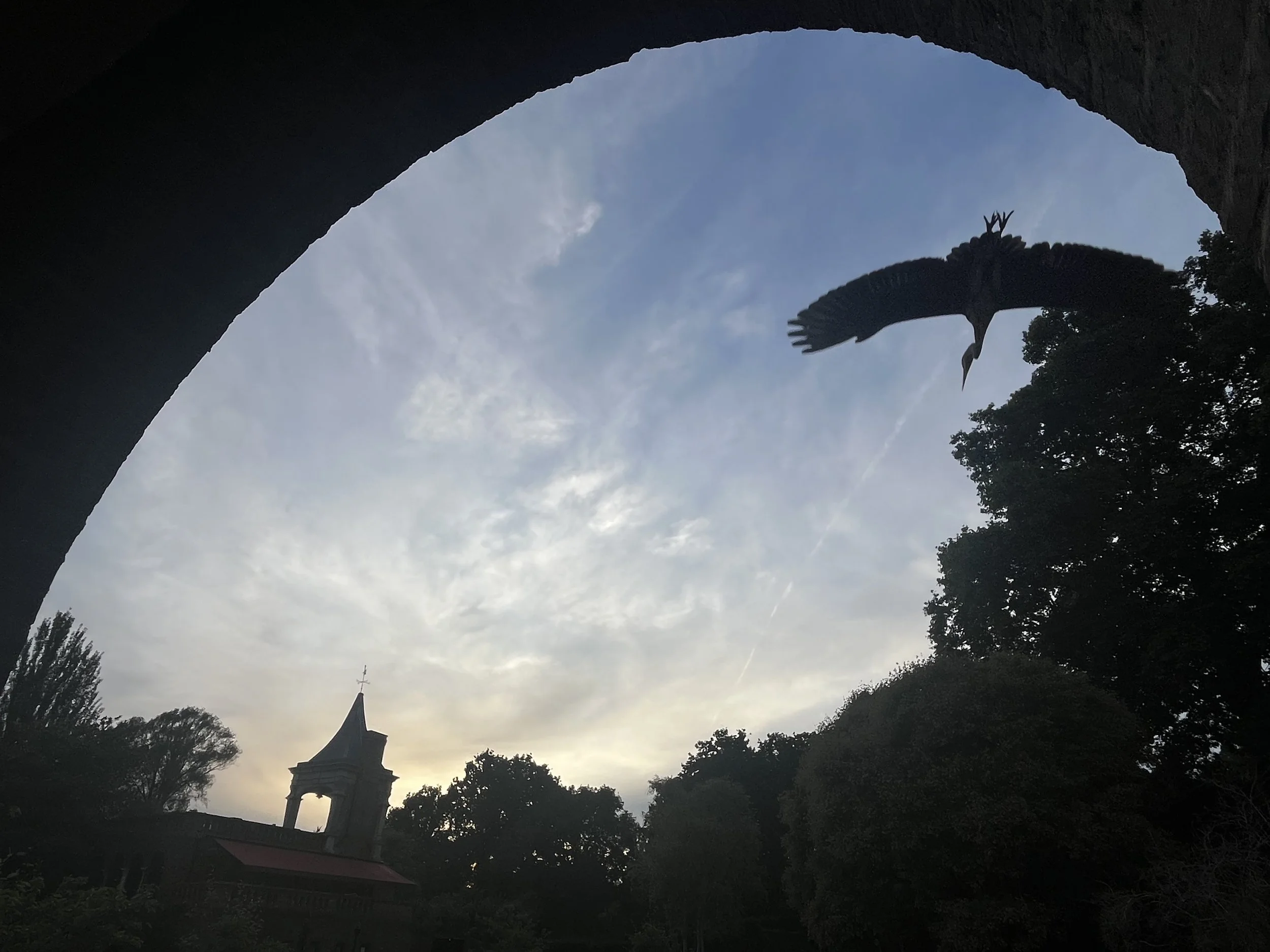 When the Body Leads…