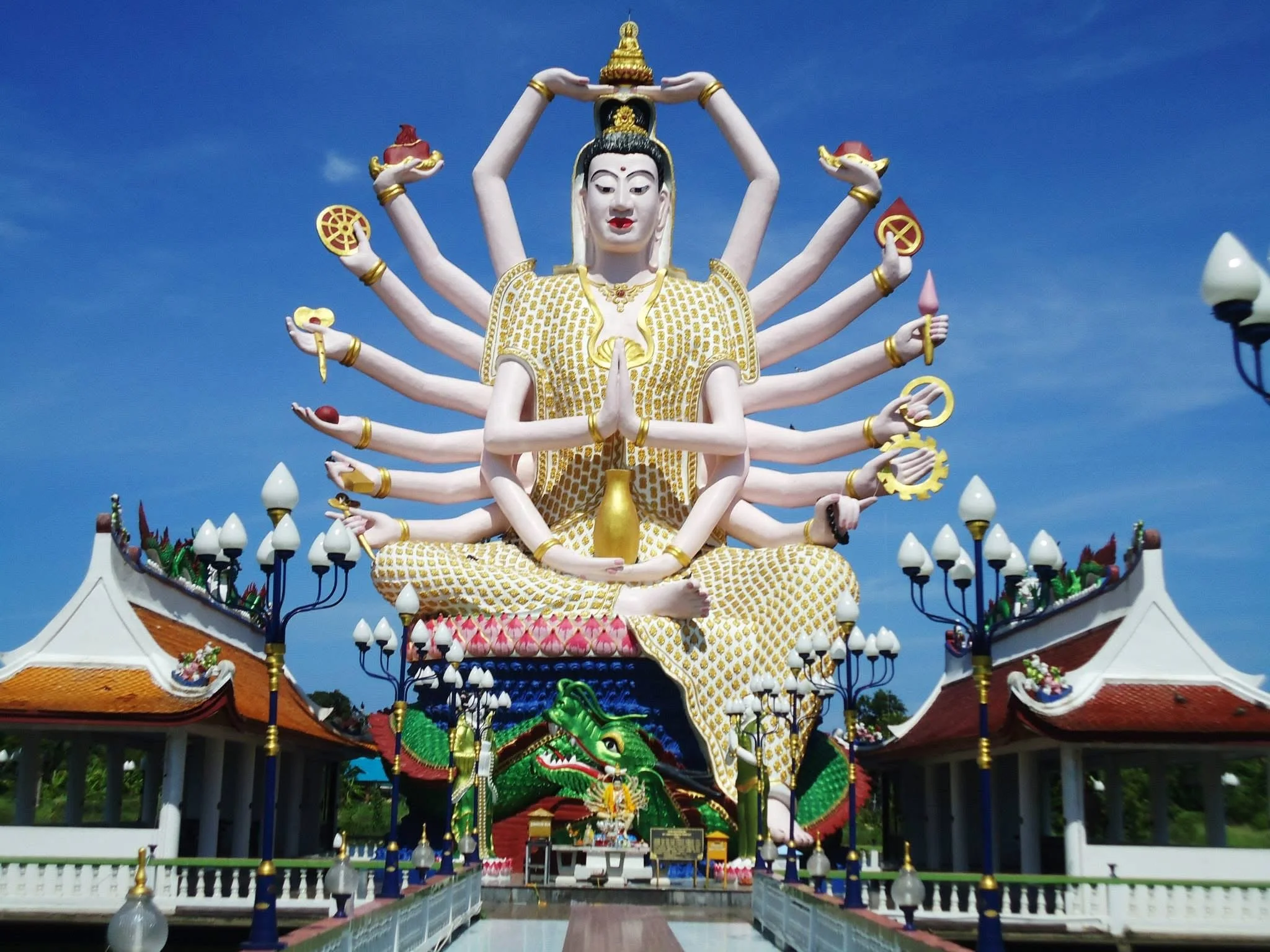 The Mind-Body Coherence