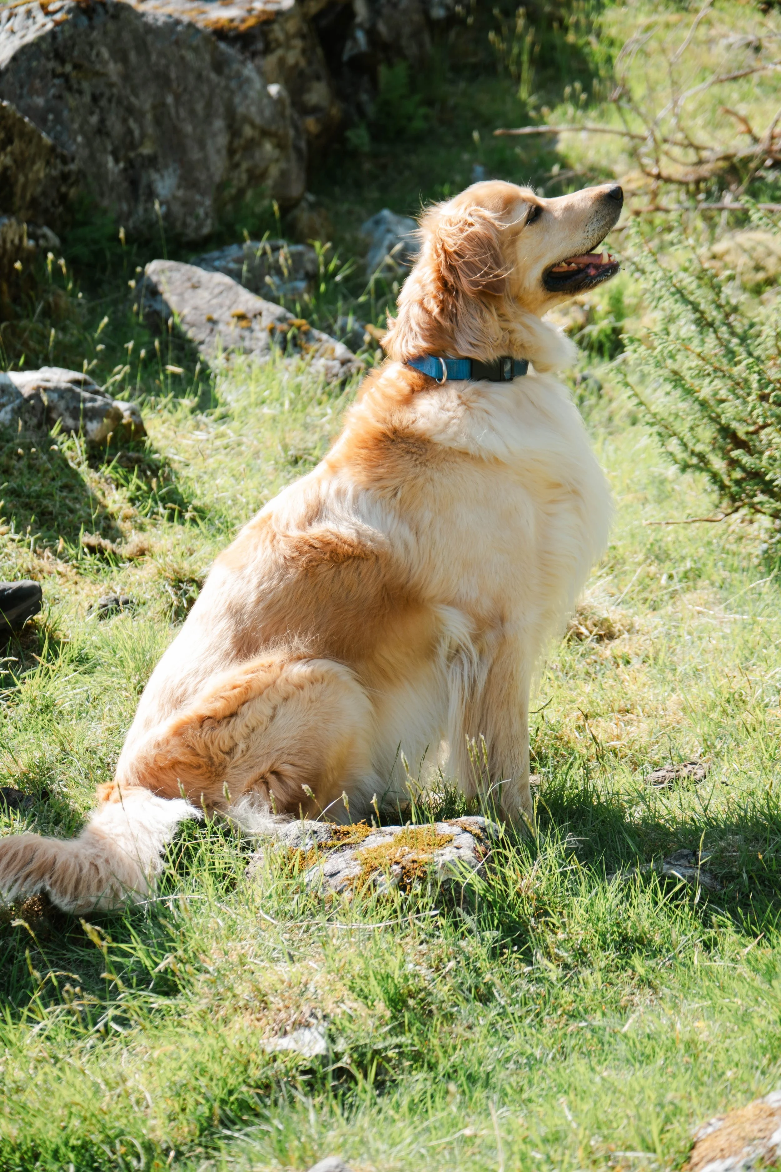DSCF5766.jpg
