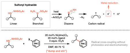 Sulfonyl hydrazides for Alkyl Cross-Coupling