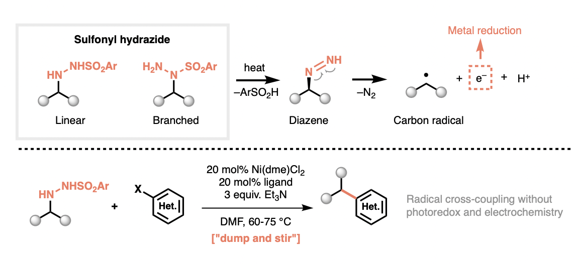 sulfonyl hydrazides chemical drawing overview