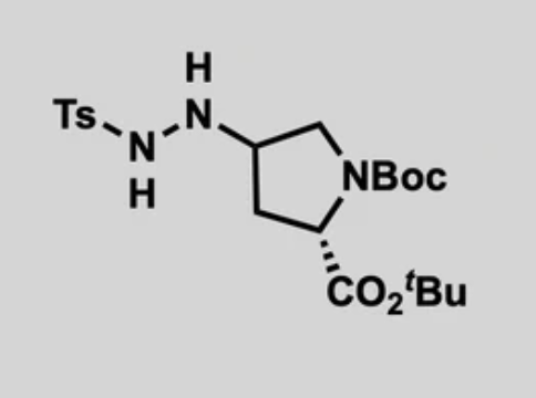 MS0048