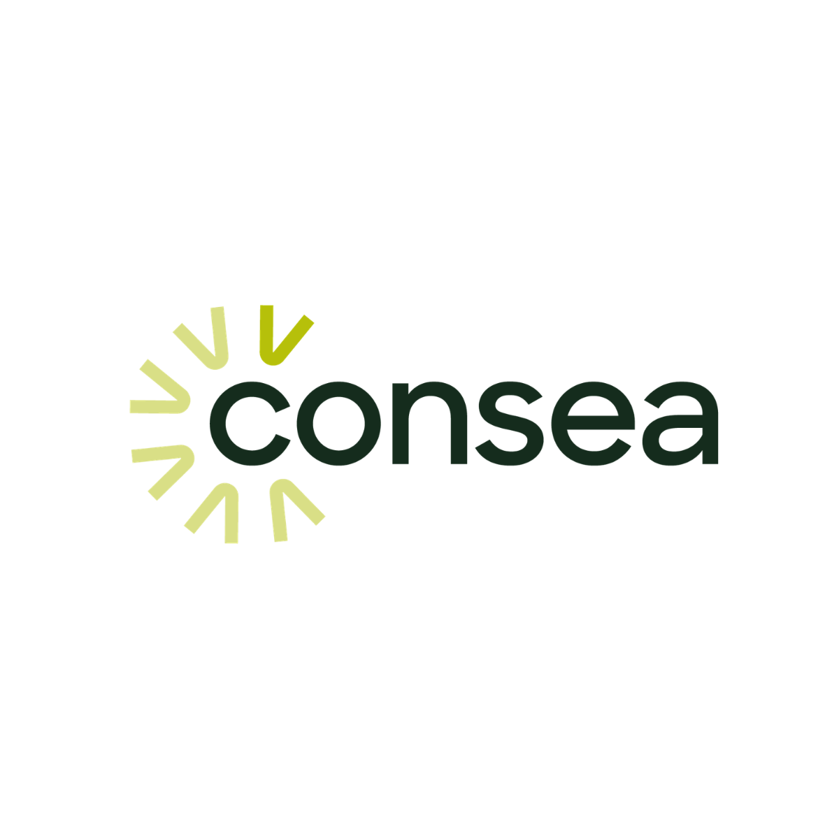 Consea Group.png