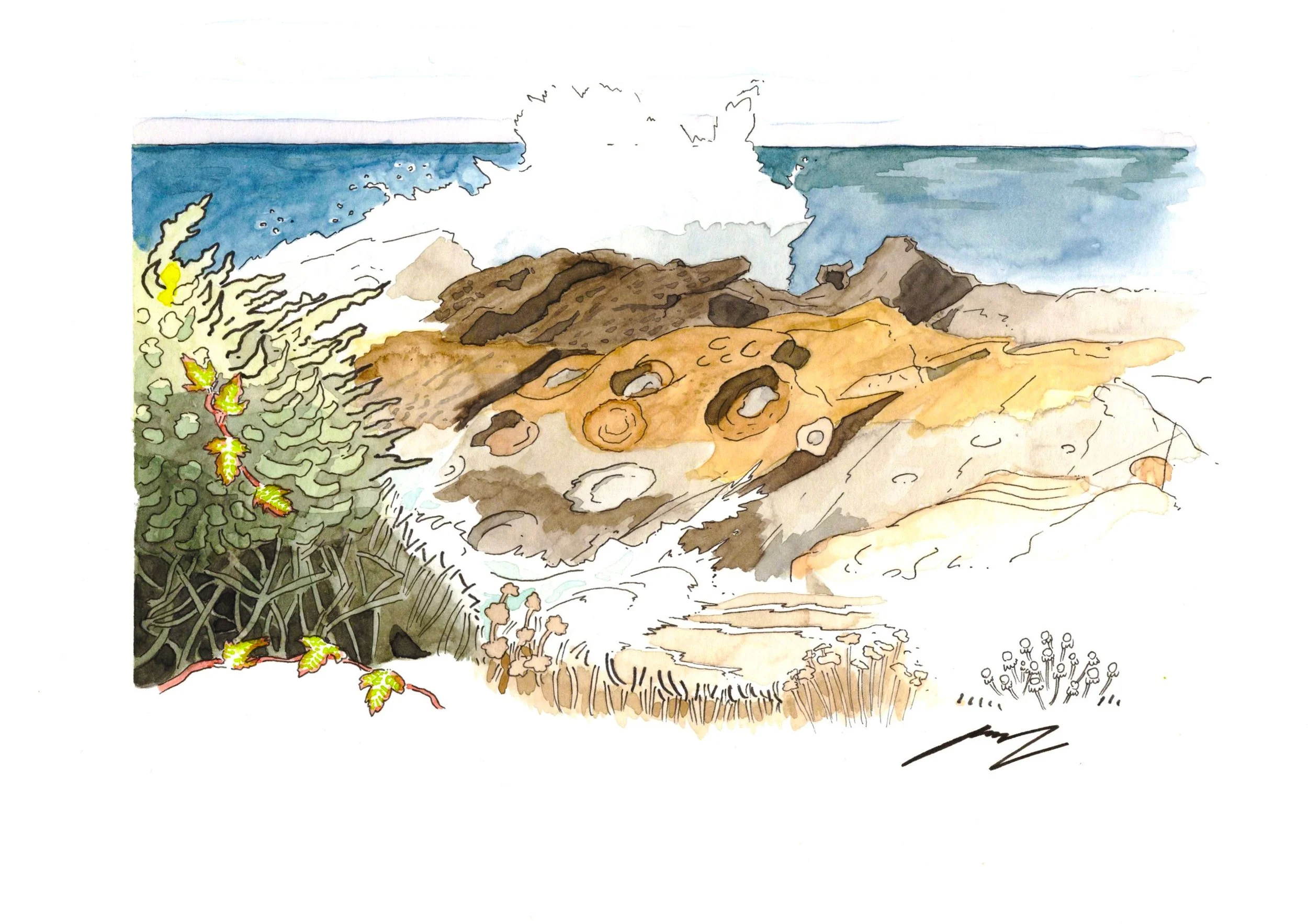 Point Lobos Concretions, ink and watercolor on paper