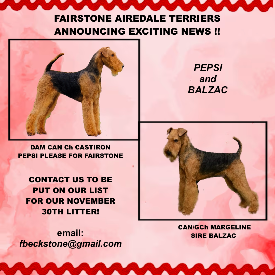 EXCITING NEWS: A NEW FAIRSTONE LITTER!