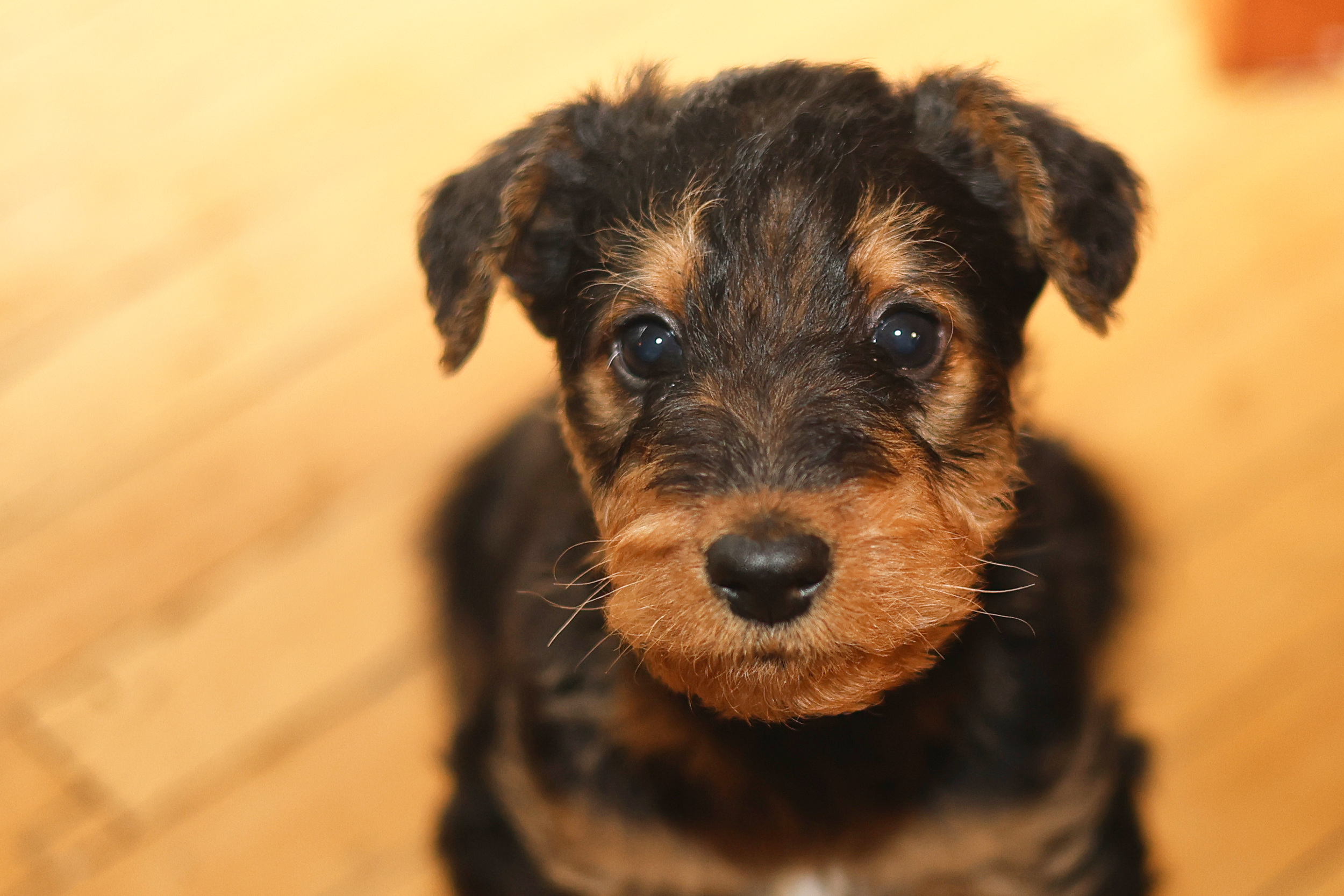 UP CLOSE AND PERSONAL