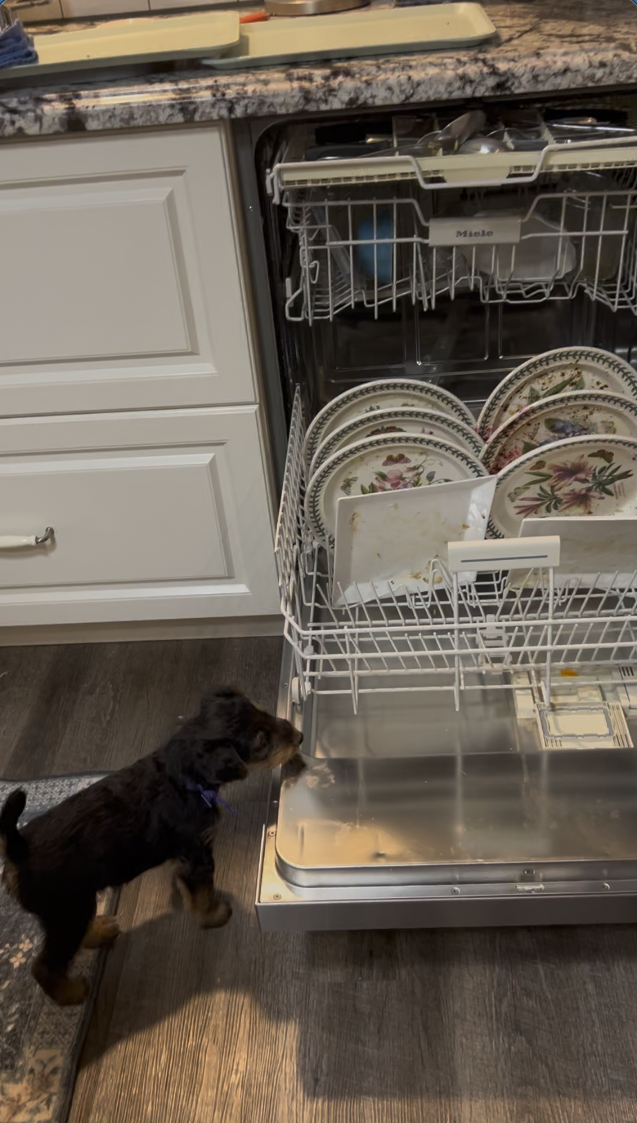 TIME TO WASH THE DISHES