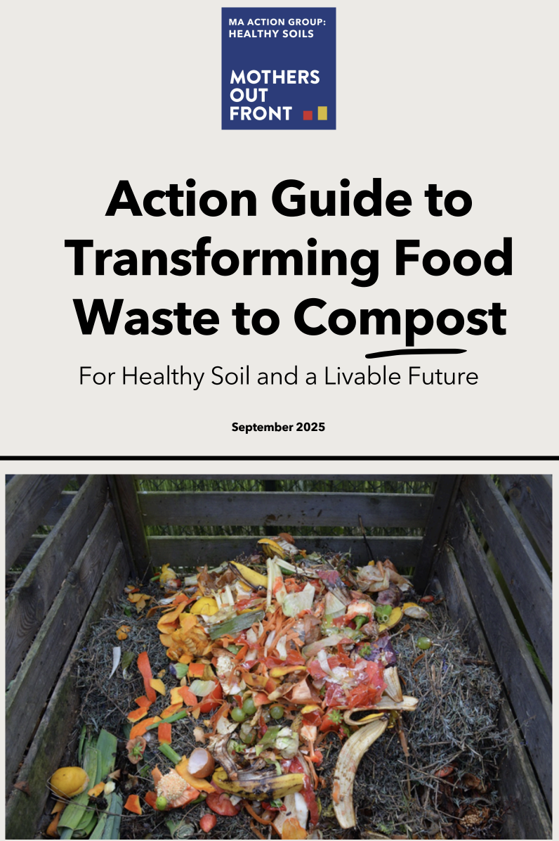 Mothers Out Front Guide: Writer, editor, designer, and project manager 