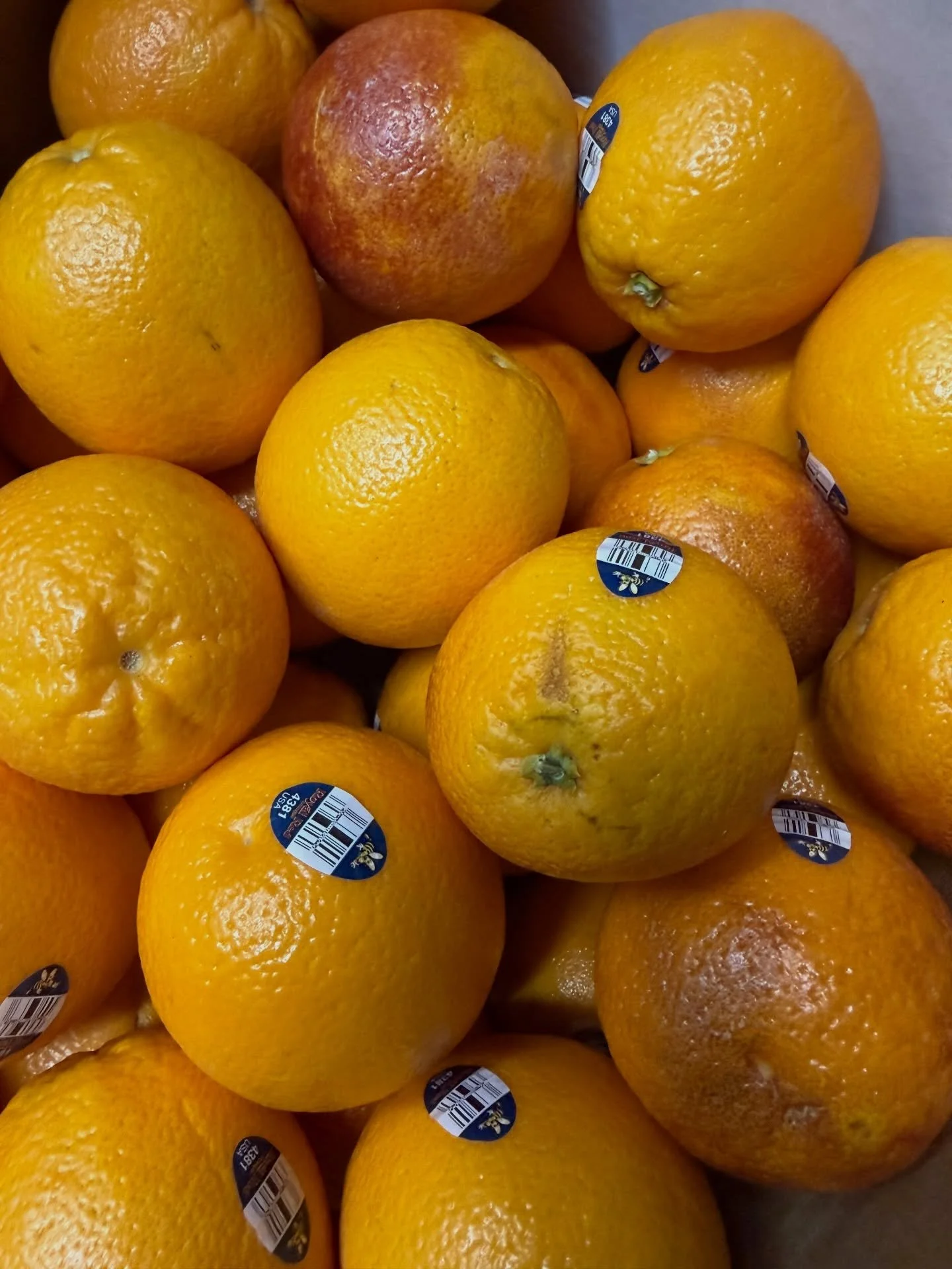 Monday ✨FRESHIES✨

Blood Oranges 3.29/lb
Brussels Sprouts 4.99/lb
Heirloom Tomatoes 6.99/lb
Lemons .89/ea
Lime .65/ea
Butter Lettuce 3.99/ea
Avocados 2.29/ea

See you at the market! 🛒