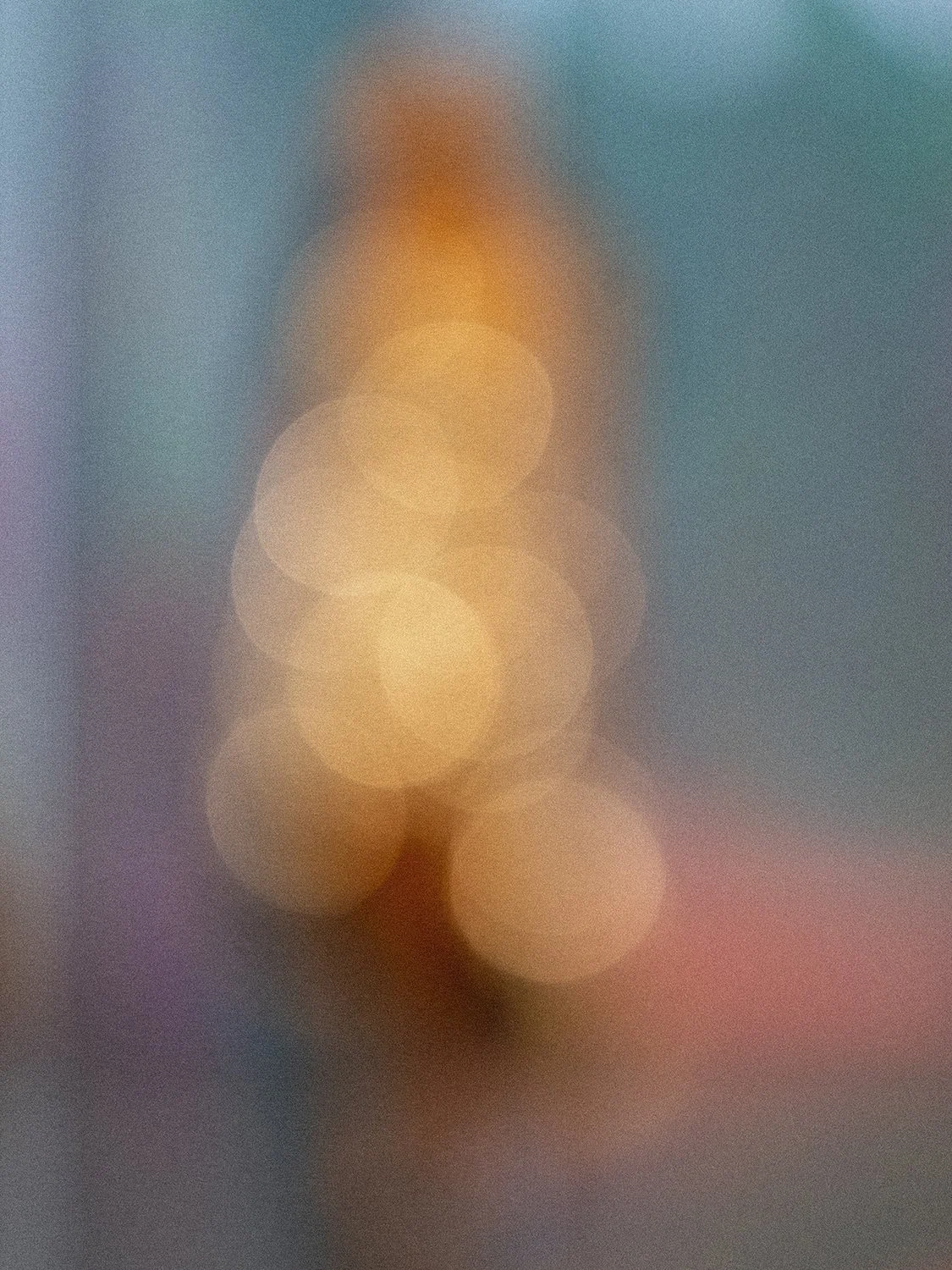 ACA05298.jpg