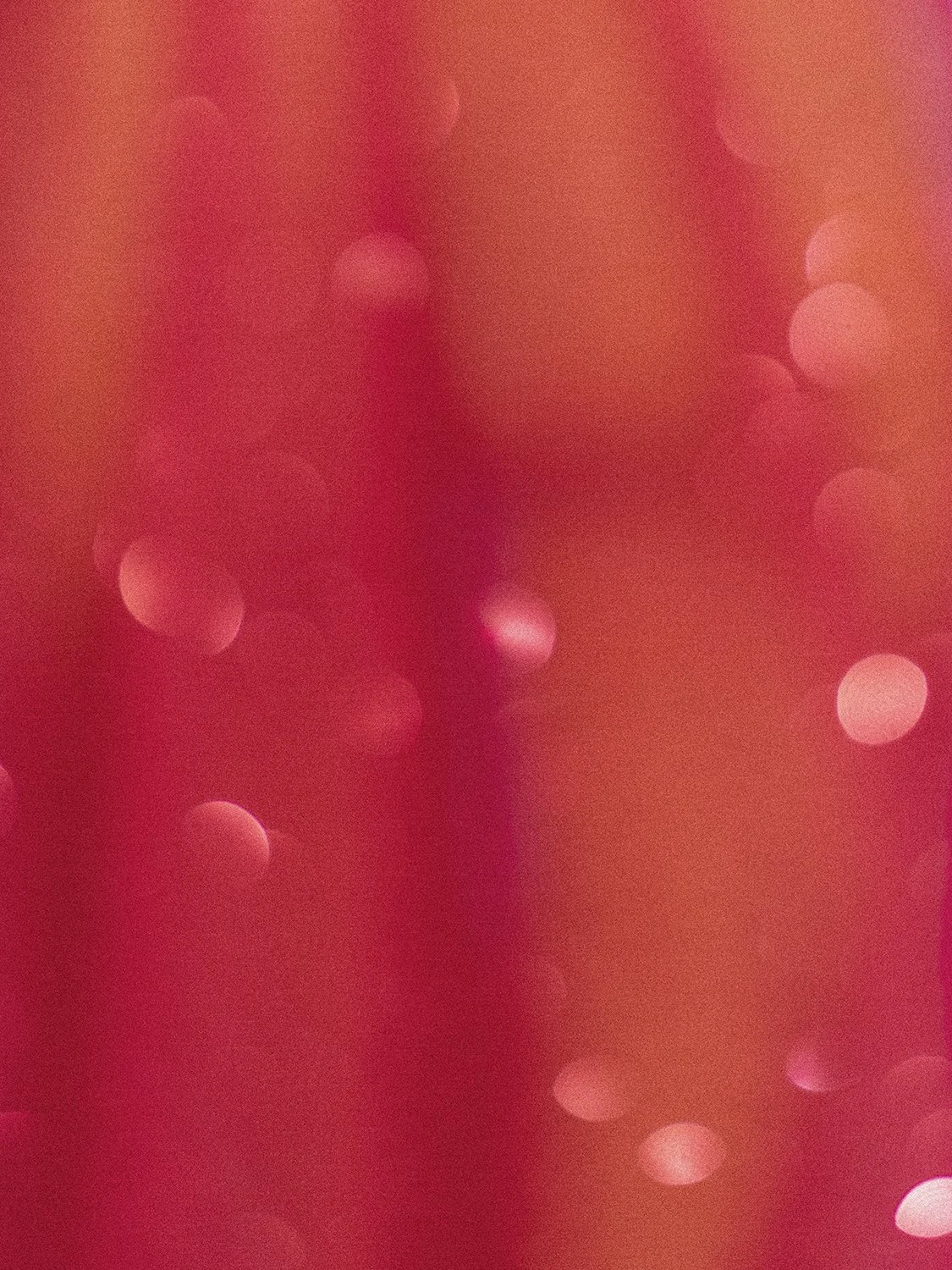 ACA05244.jpg