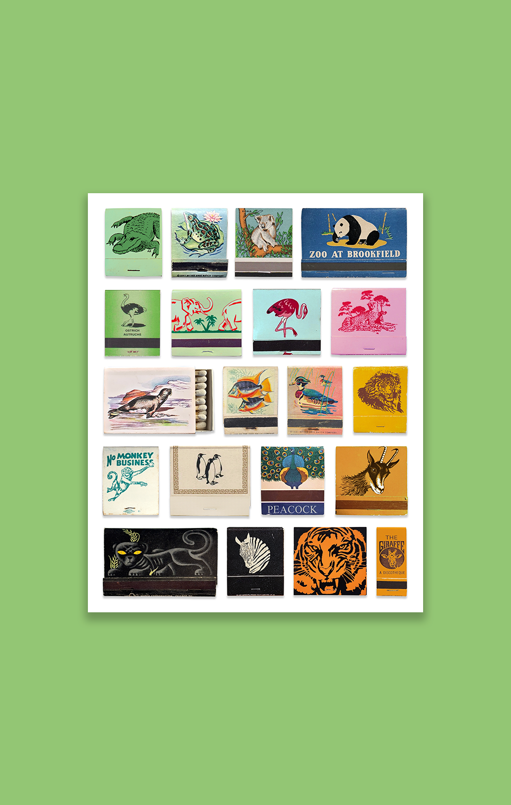 Animal Kingdom Main.png