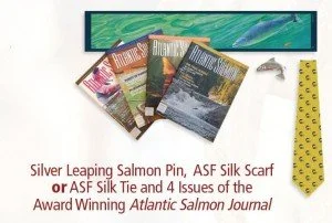 How to drive member loyalty