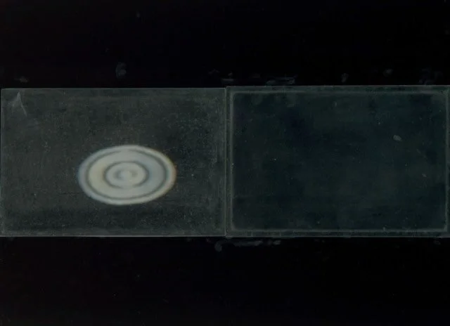 &lsquo;Instigation for Predictive Cognitive Plasticity&rsquo;, 2026

Short film - stop motion using photographic scans creating an EMDR (Eye Movement Desensitization and Reprocessing) visual experience set to the audio of the BBC Radio 4 Shipping For