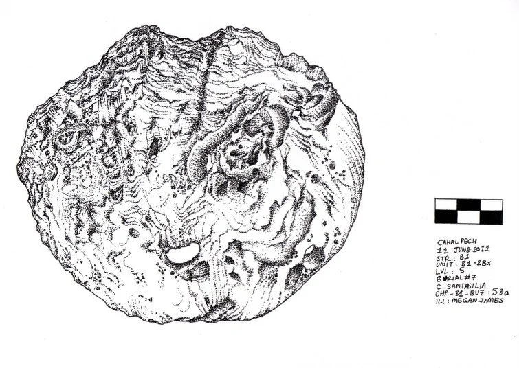 Archaeological illustration work, 2015, San Ignacio, Cayo District, Belize

📍 Cahal Pech Archaeological Reserve: Founded, 1200 BCE; Abandoned, 900 CE

🐚 Shell 2 and 3

With archaeologist Catharina Santasilia
