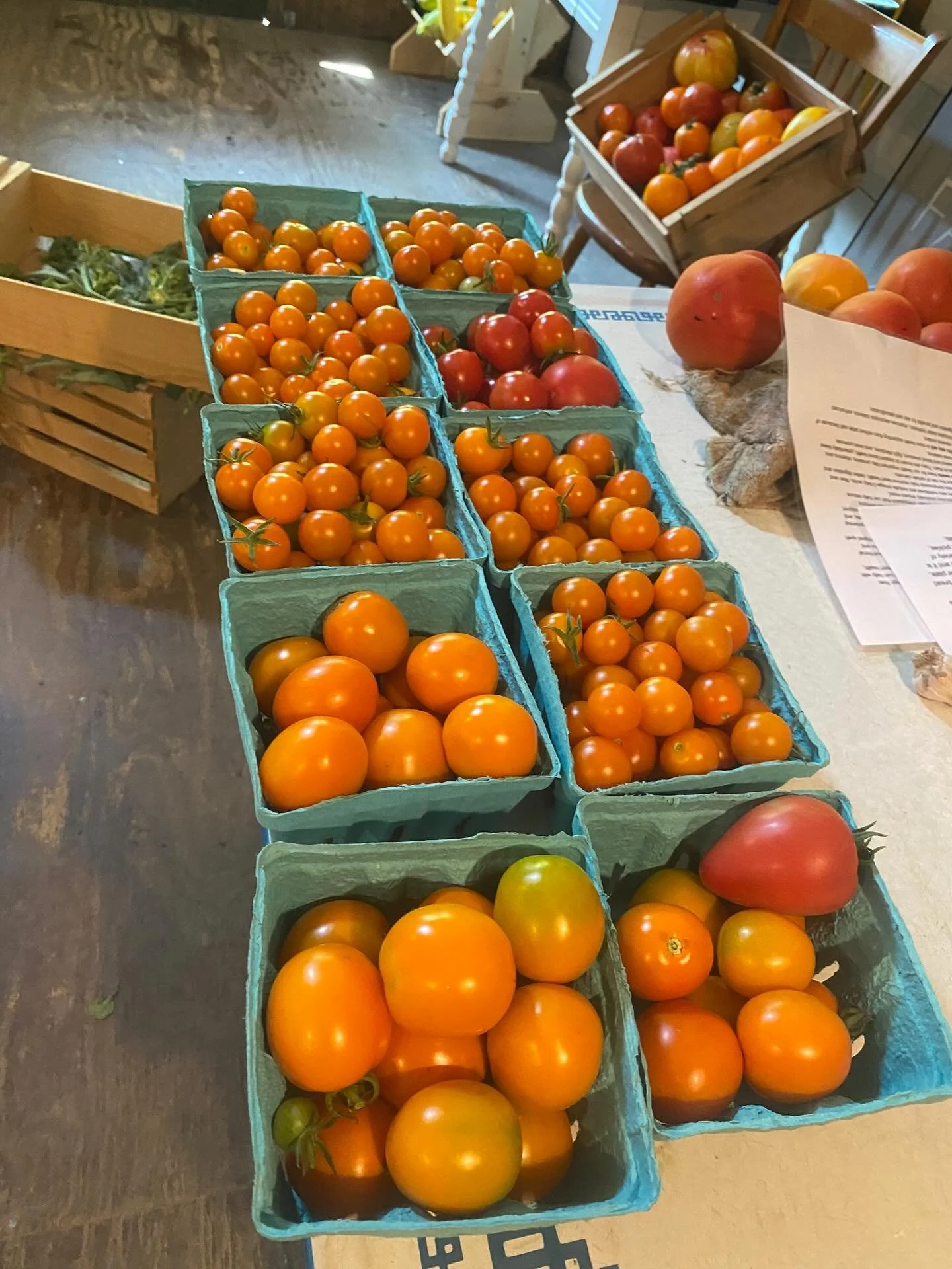 We&rsquo;ve been harvesting lots and lots of veggies, especially carrots and tomatoes! Stop on by the store today: