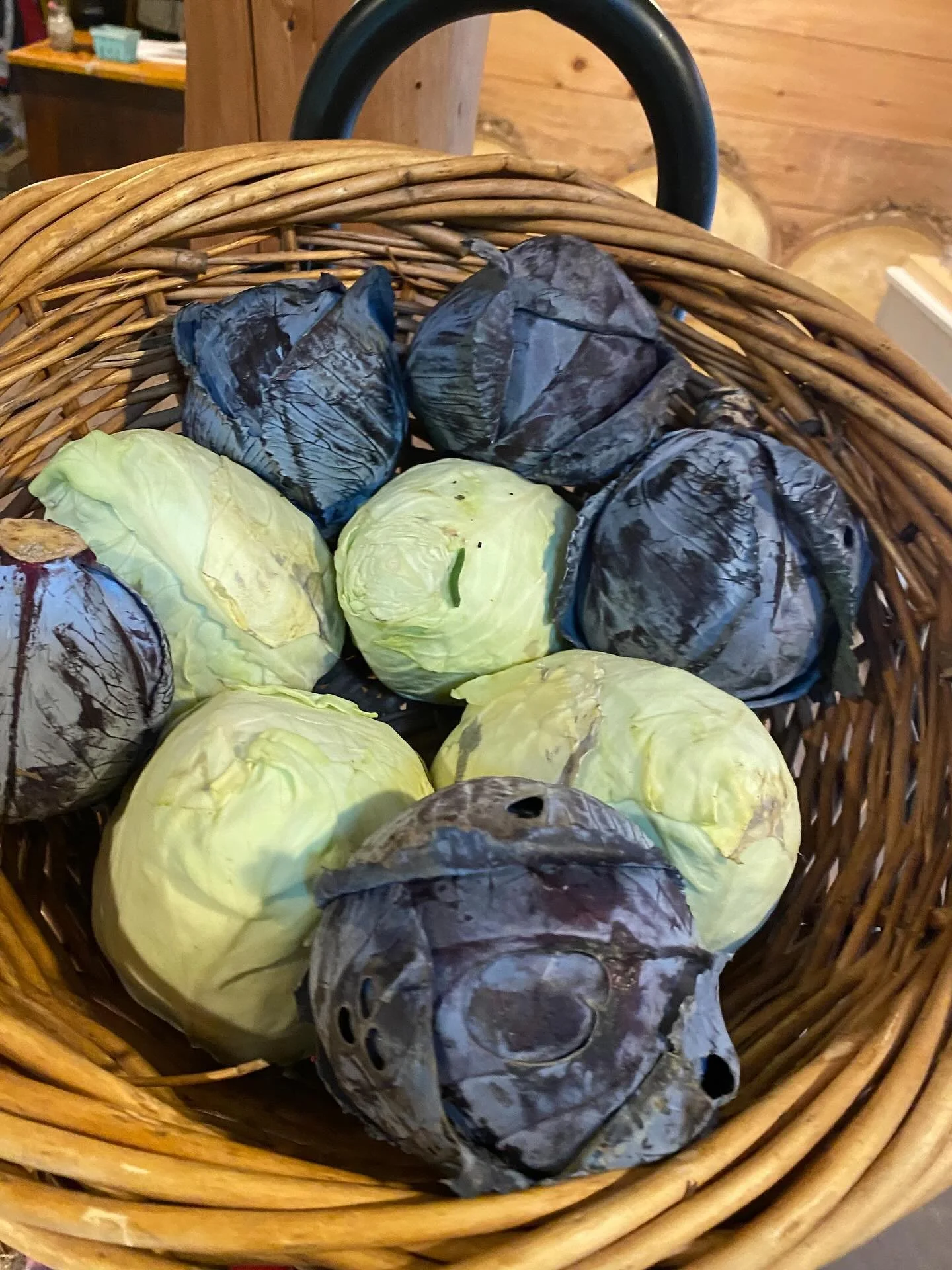 Lots of beautiful fall veggies available in the store this weekend: