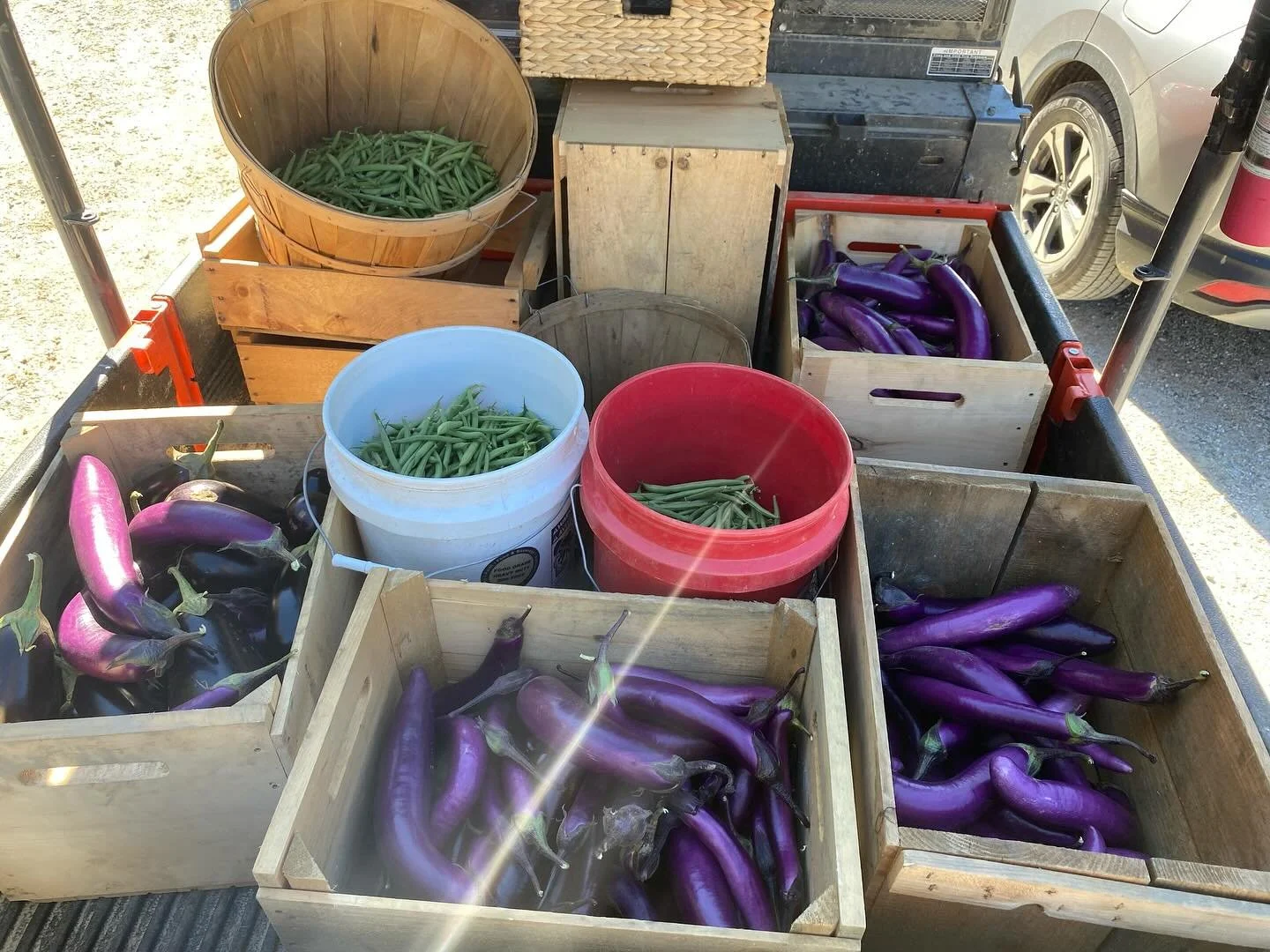We&rsquo;ve been busy harvesting, and our farmstore is packed with fresh picked vegetables, grass fed beef and cheeses, and a whole range of local and sustainable products. Stop on by! We&rsquo;re open Saturday 10am-5:30pm and Sunday 11am-5pm.