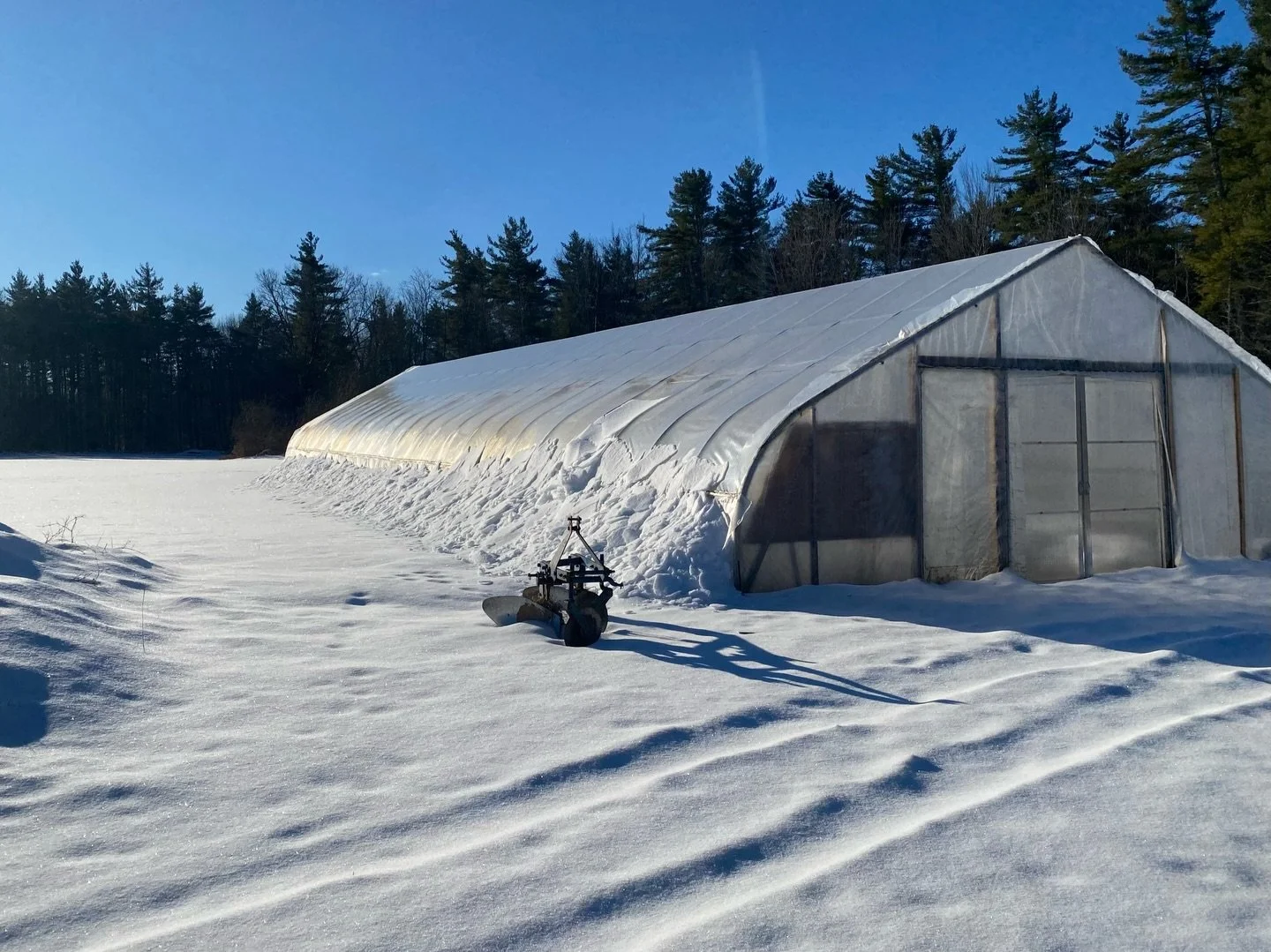 Farm store hours:
10am-5pm, Thursdays and Saturdays