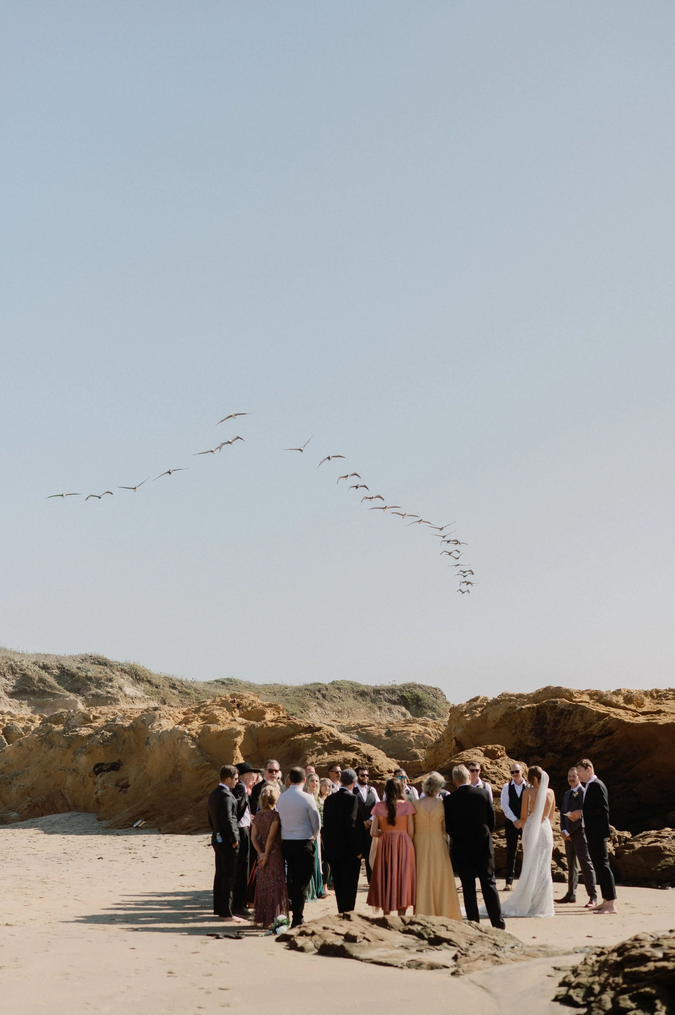 mollylouphoto(129of440).JPG