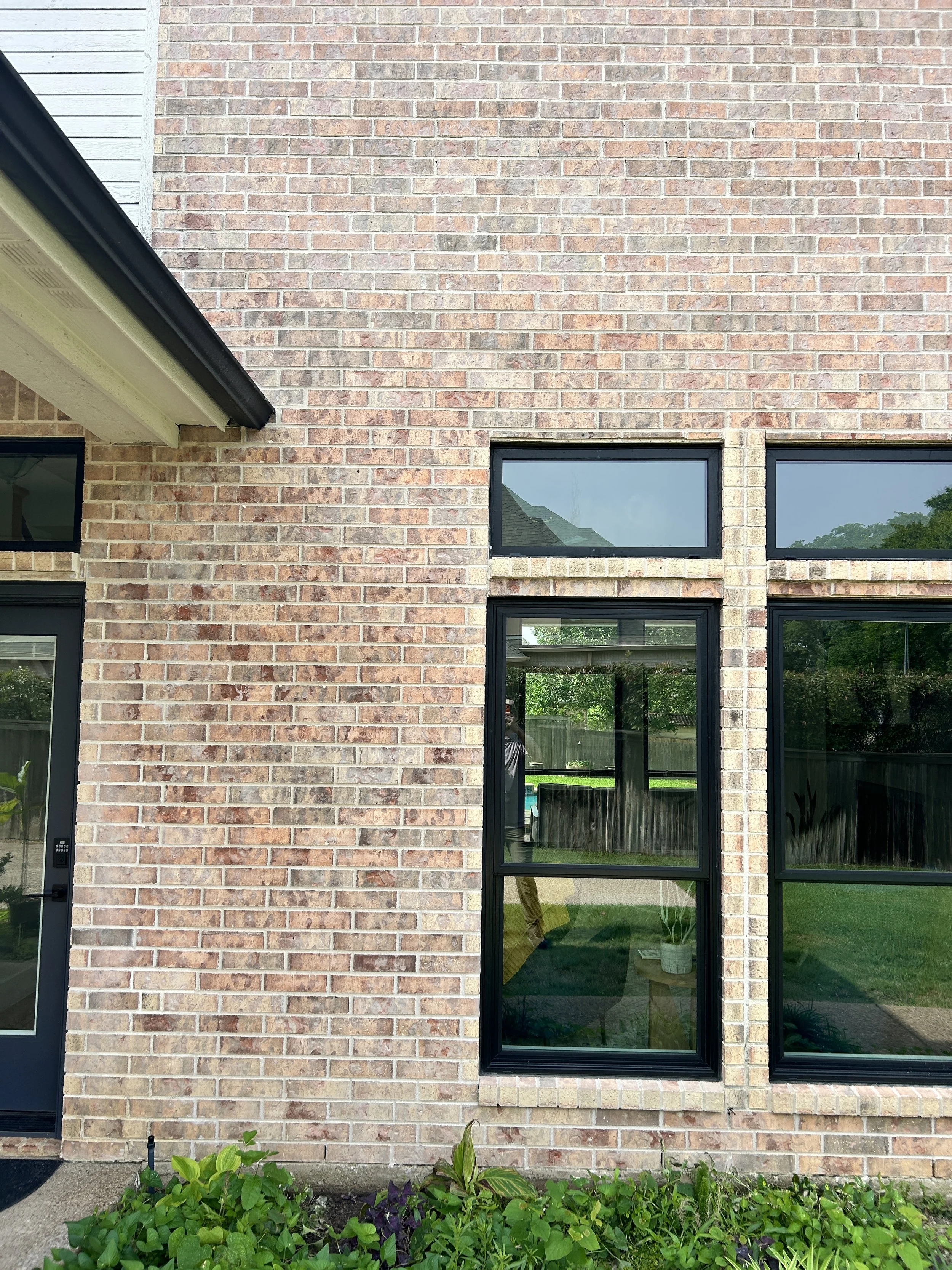 The image shows the exterior corner of a brick house with three horizontal rectangular windows with black frames, a portion of the roof with black trim, and a small green plant bed in the foreground with lush green plants and purple leaves. The reflection in the windows shows a backyard with trees and a fence.