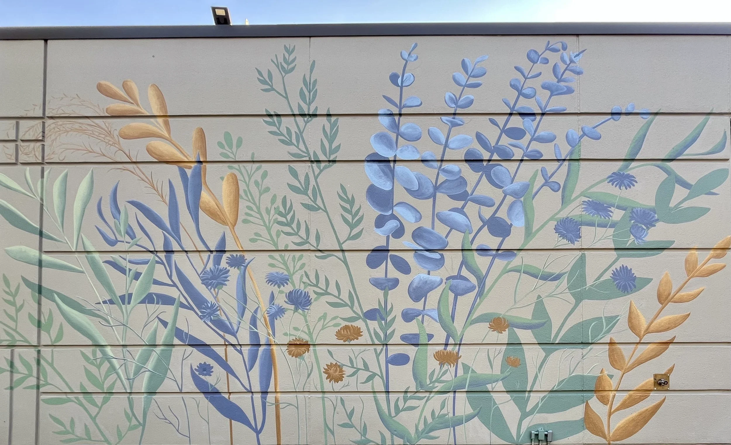 Copy of IMG_2369.jpeg