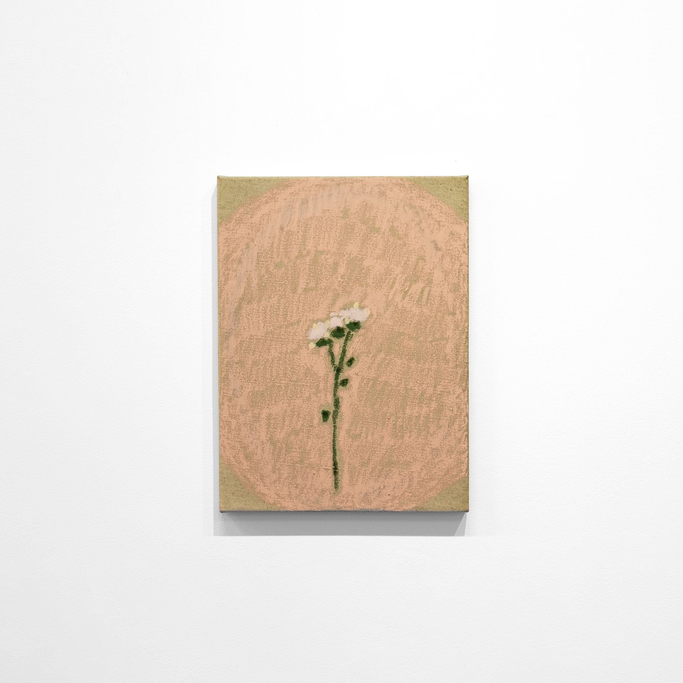 Alexandre Staut - Ramo de flores para a quinta-feira