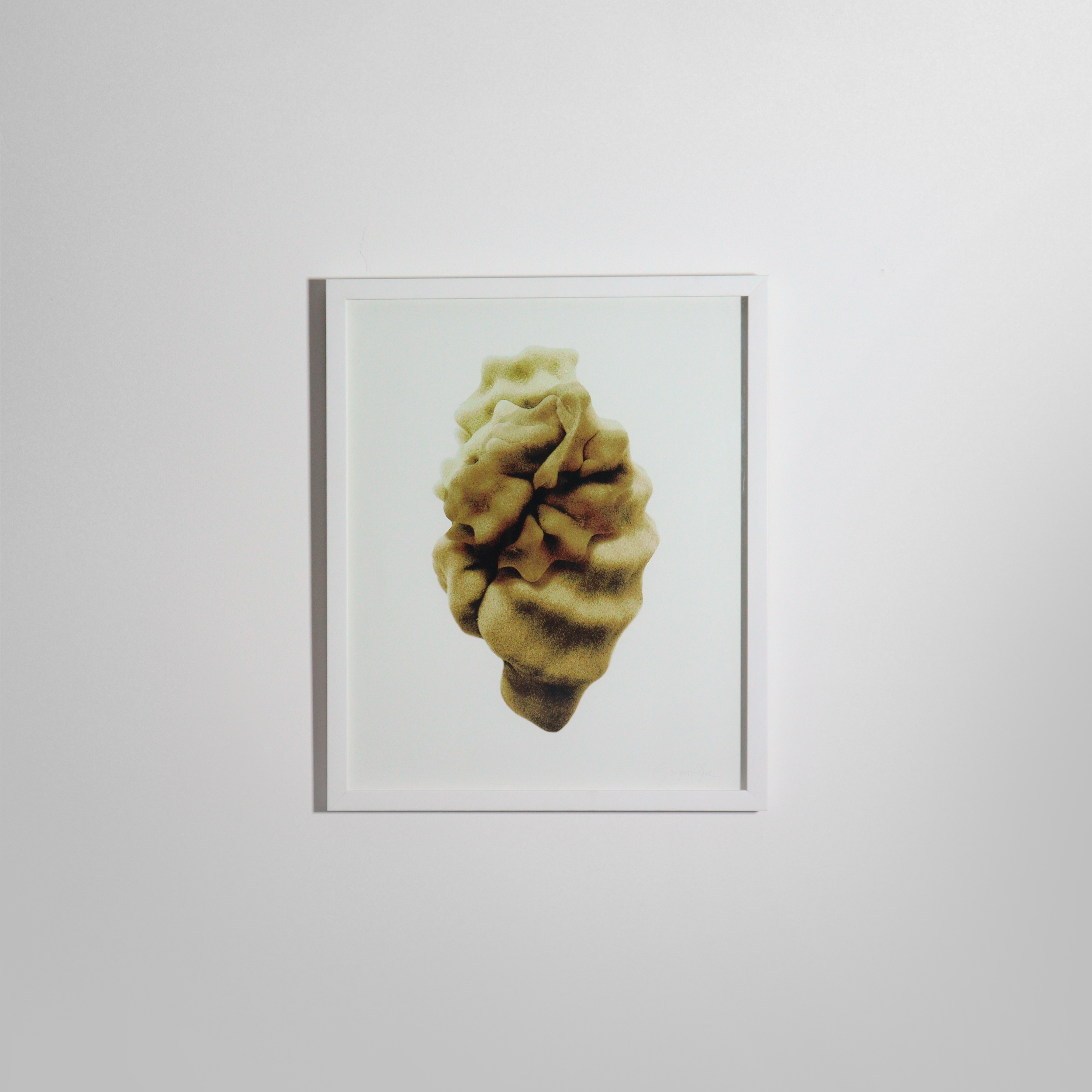 Giorgia Volpe - 03@4x.png