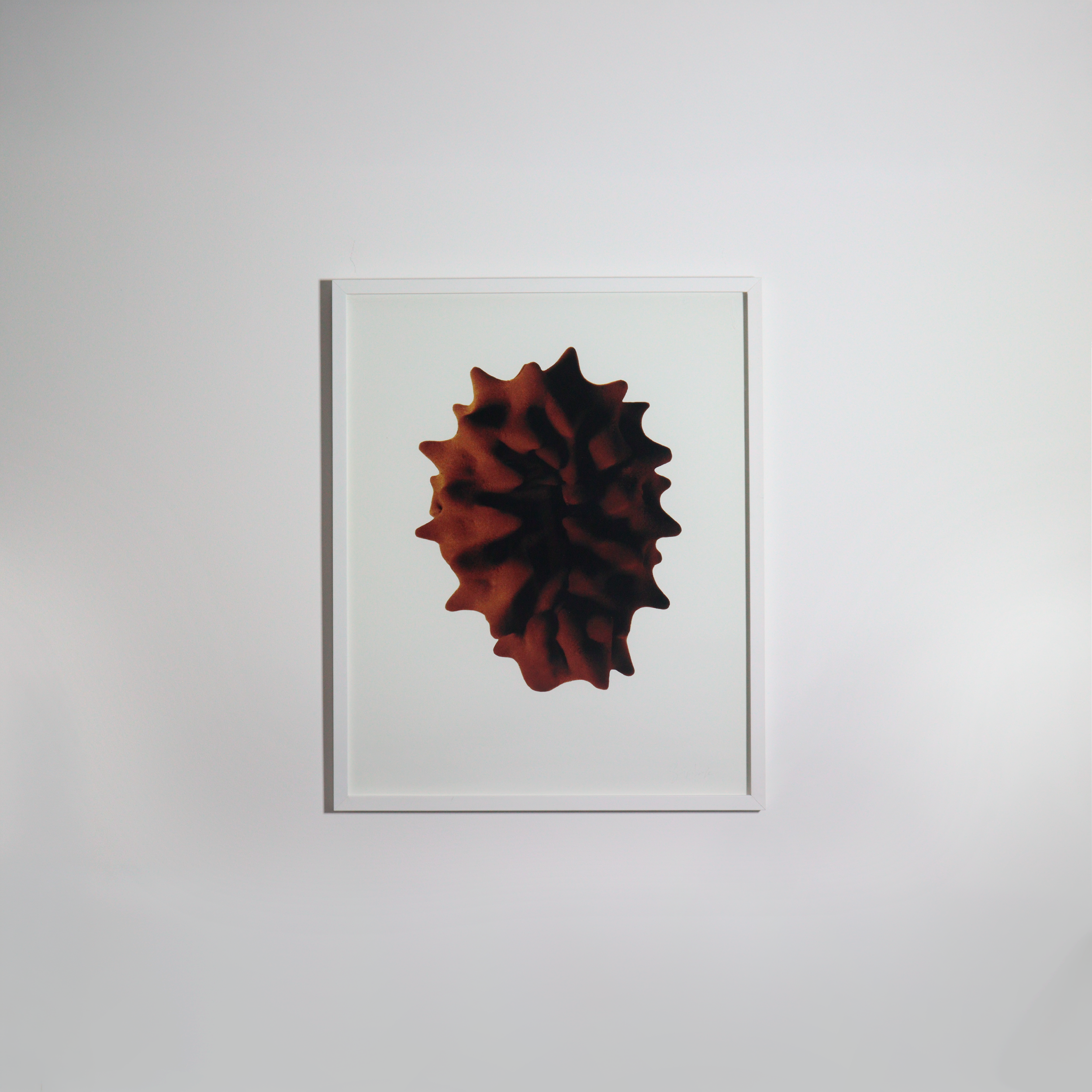 Giorgia Volpe - 07@4x.png