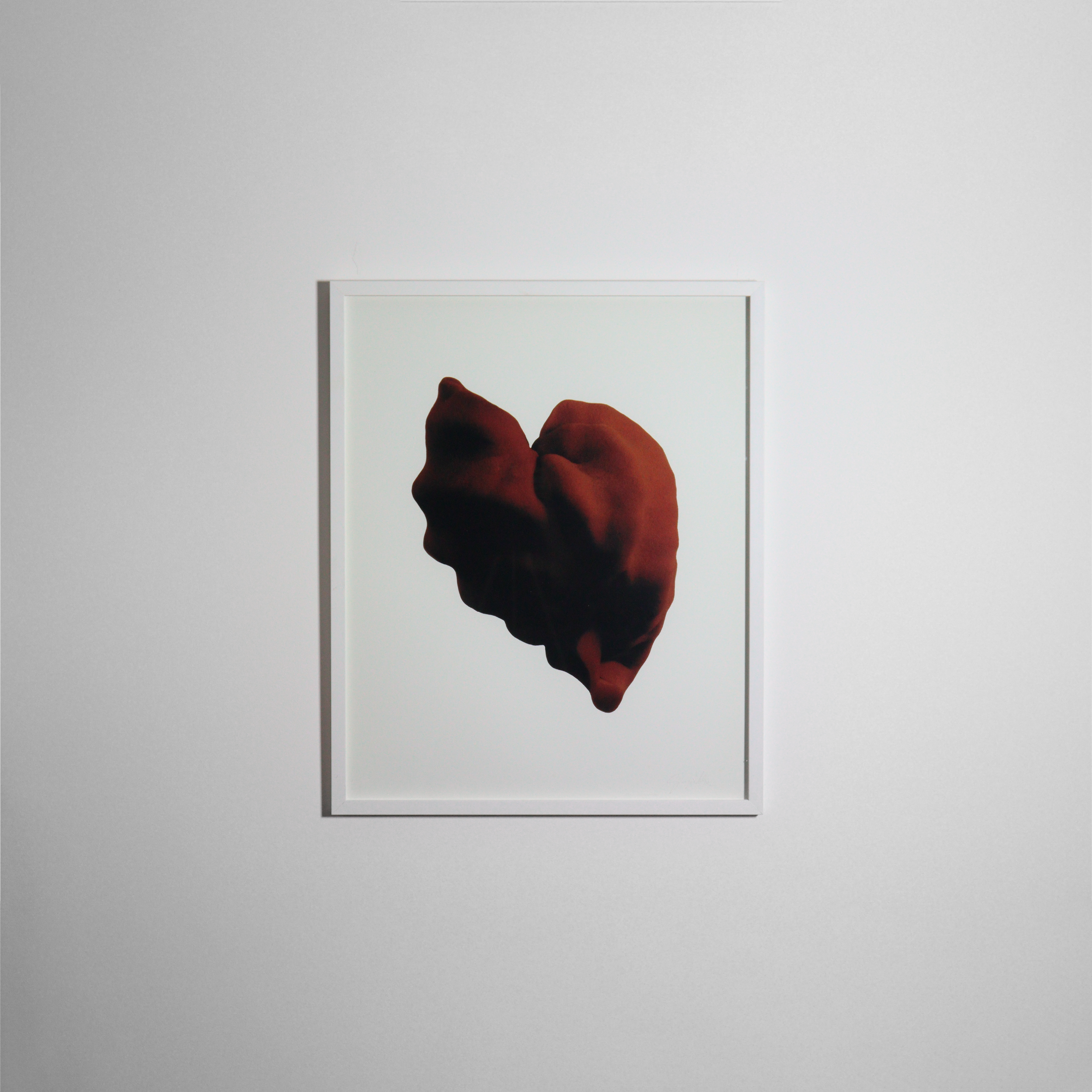 Giorgia Volpe - 05@4x.png