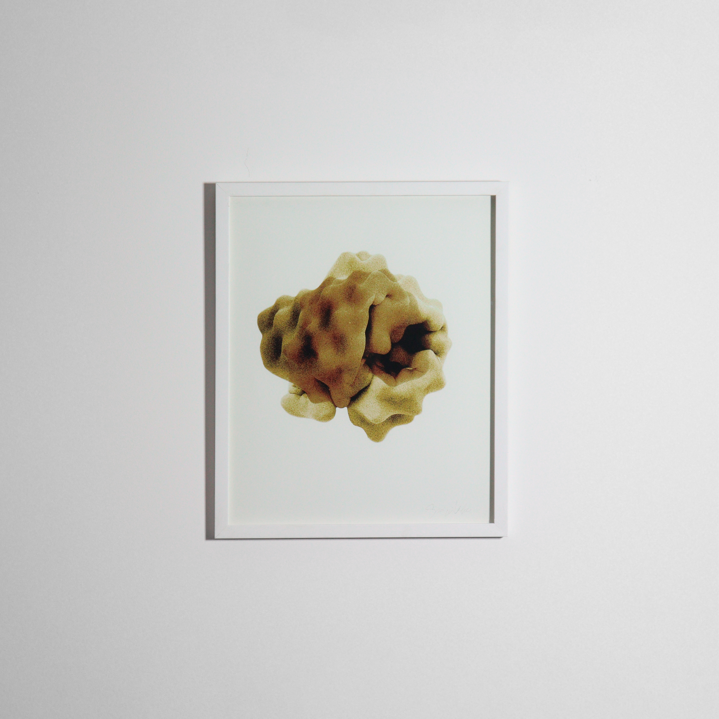 Giorgia Volpe - 04@4x.png