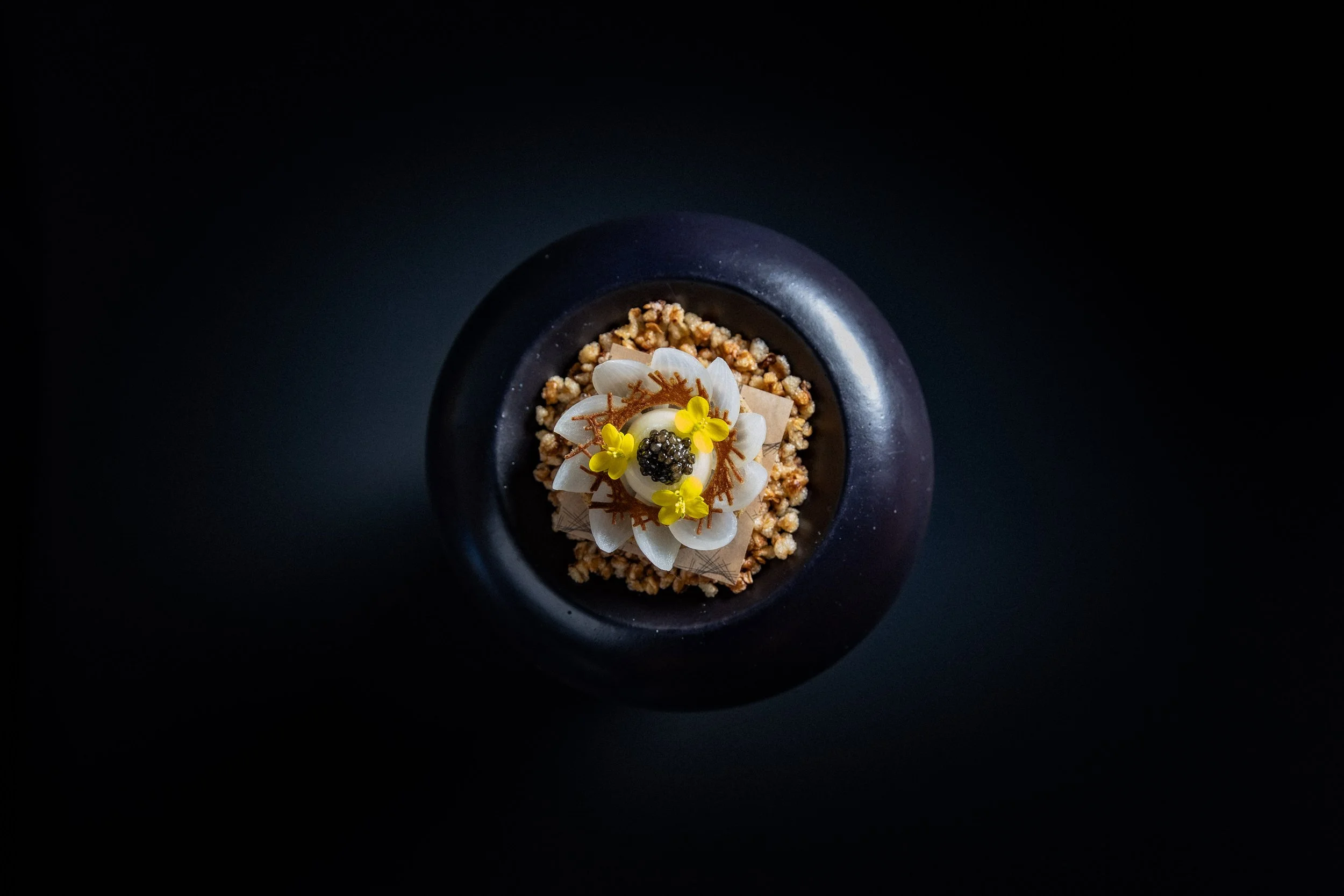 Onion Tart.jpg