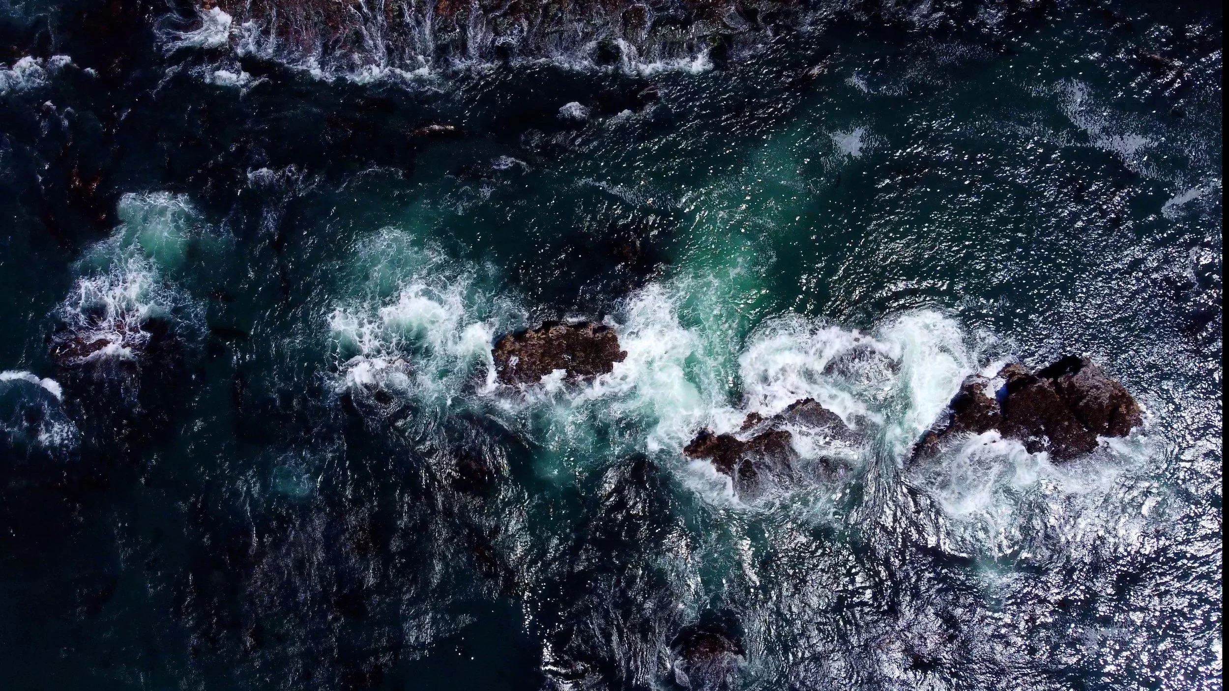 SpiritBear_PacificOcean_Waves.jpg