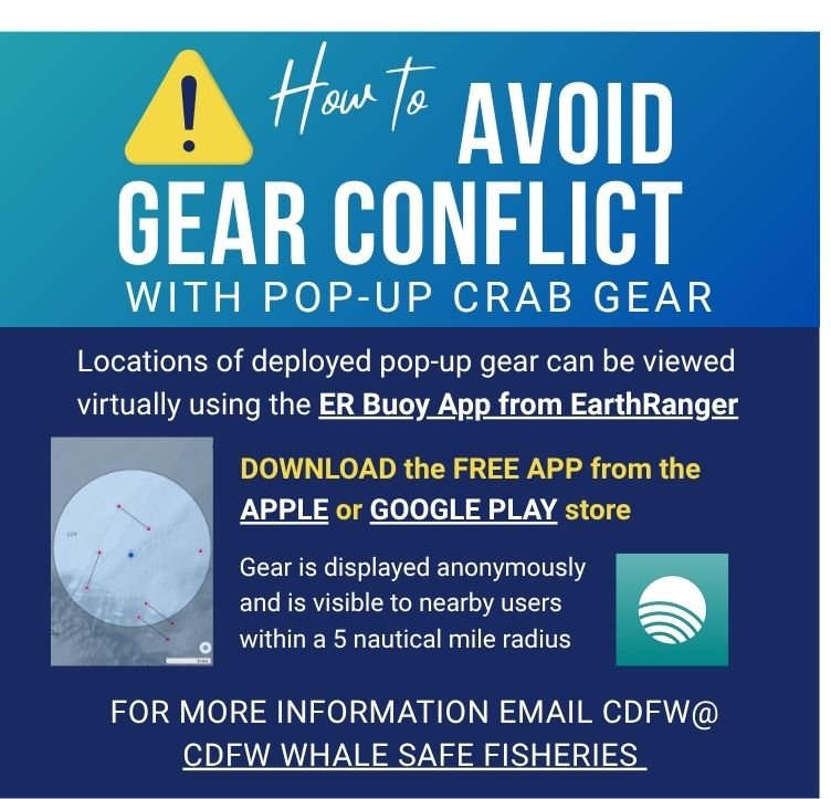 How to Avoid Gear Conflict with Alternative Crab Gear