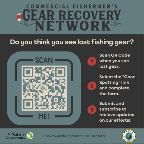 Reporting Lost Gear