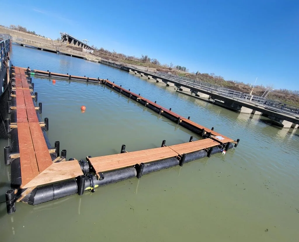Salmon hatchery Net pen with wooden platform in a water body under a clear blue sky.