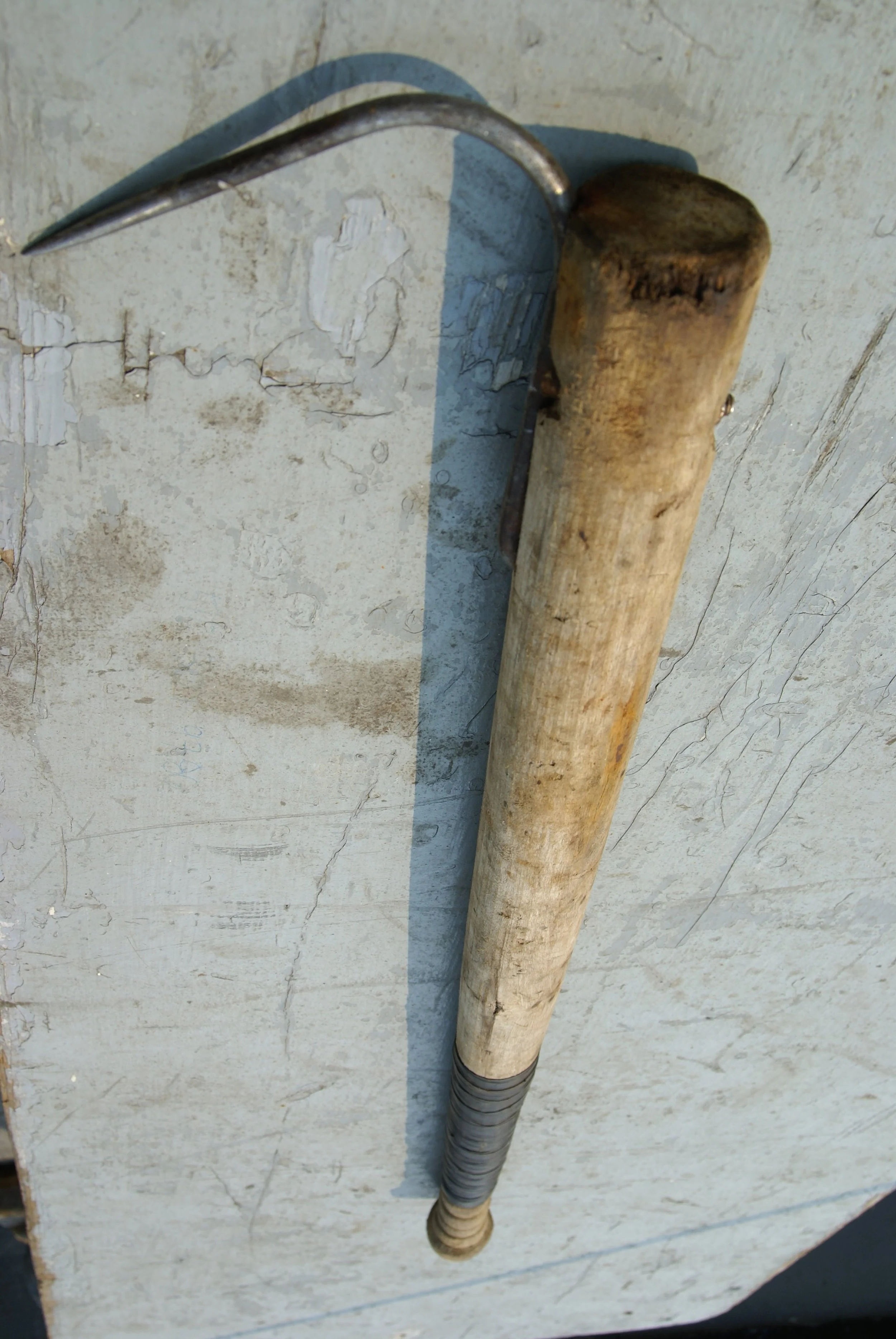A salmon tool with a hook on the end on a table