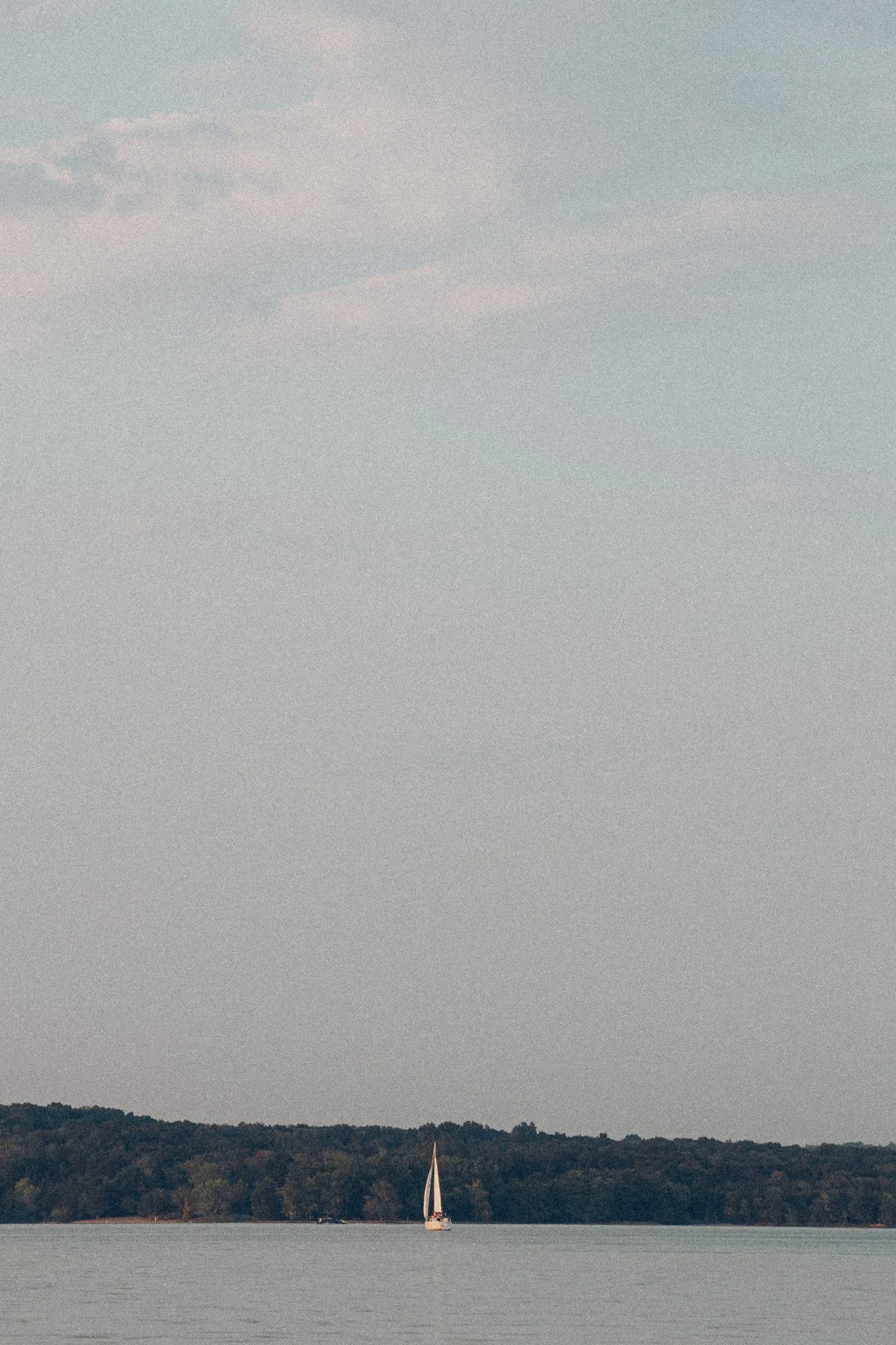A sailboat with white sails on a calm lake, with the tree-covered shoreline of Nashville, TN in the background and a cloudy sky above.