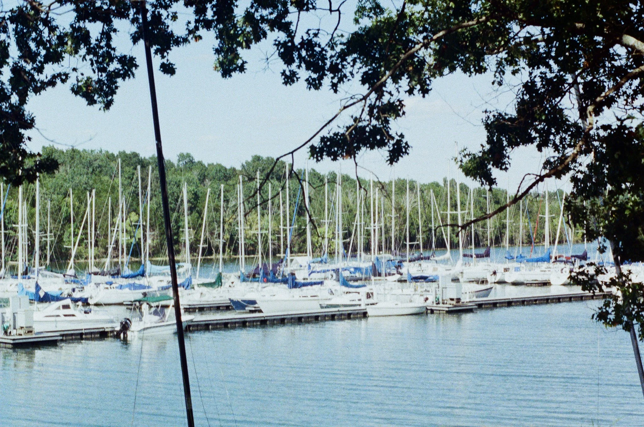 Sailboats lined up at the docks of Hamilton Marina in Nashville, TN.