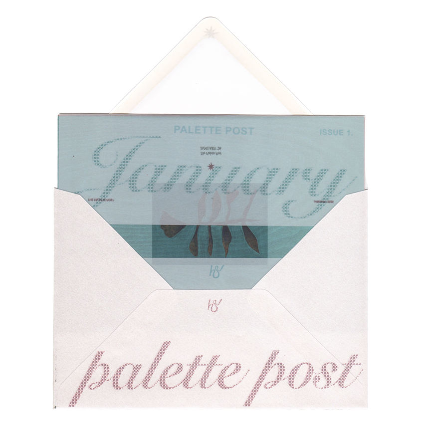 Previous Palette Post Issues