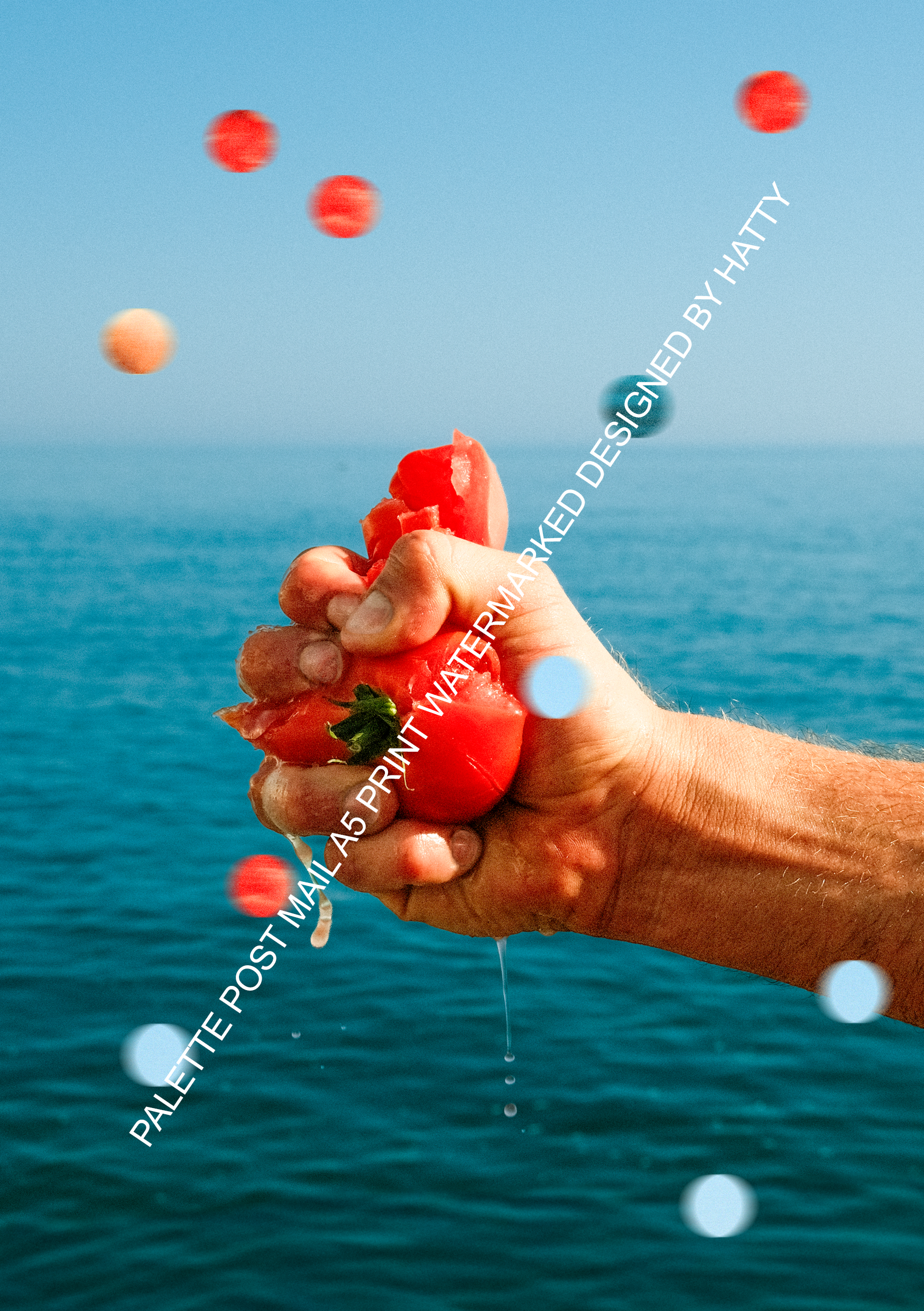 SALSA SEASON WATERMARKED.png